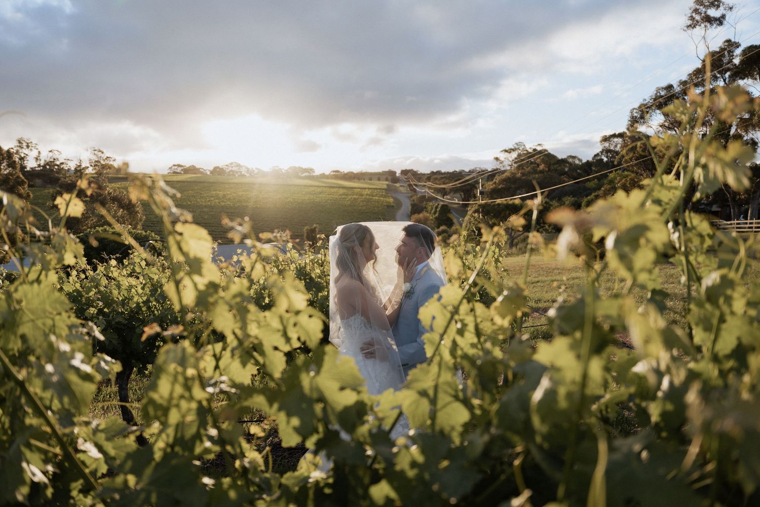 White hill estate wedding, images by Braytmedia in Mclaren Vale