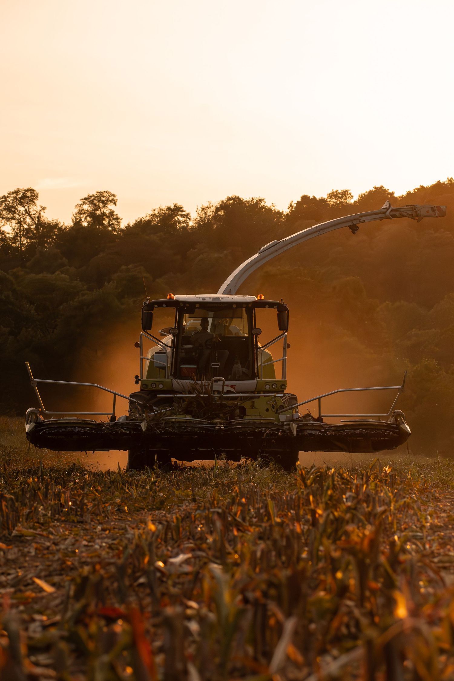 Silhouetted combine harvesters working in a field during golden hour.