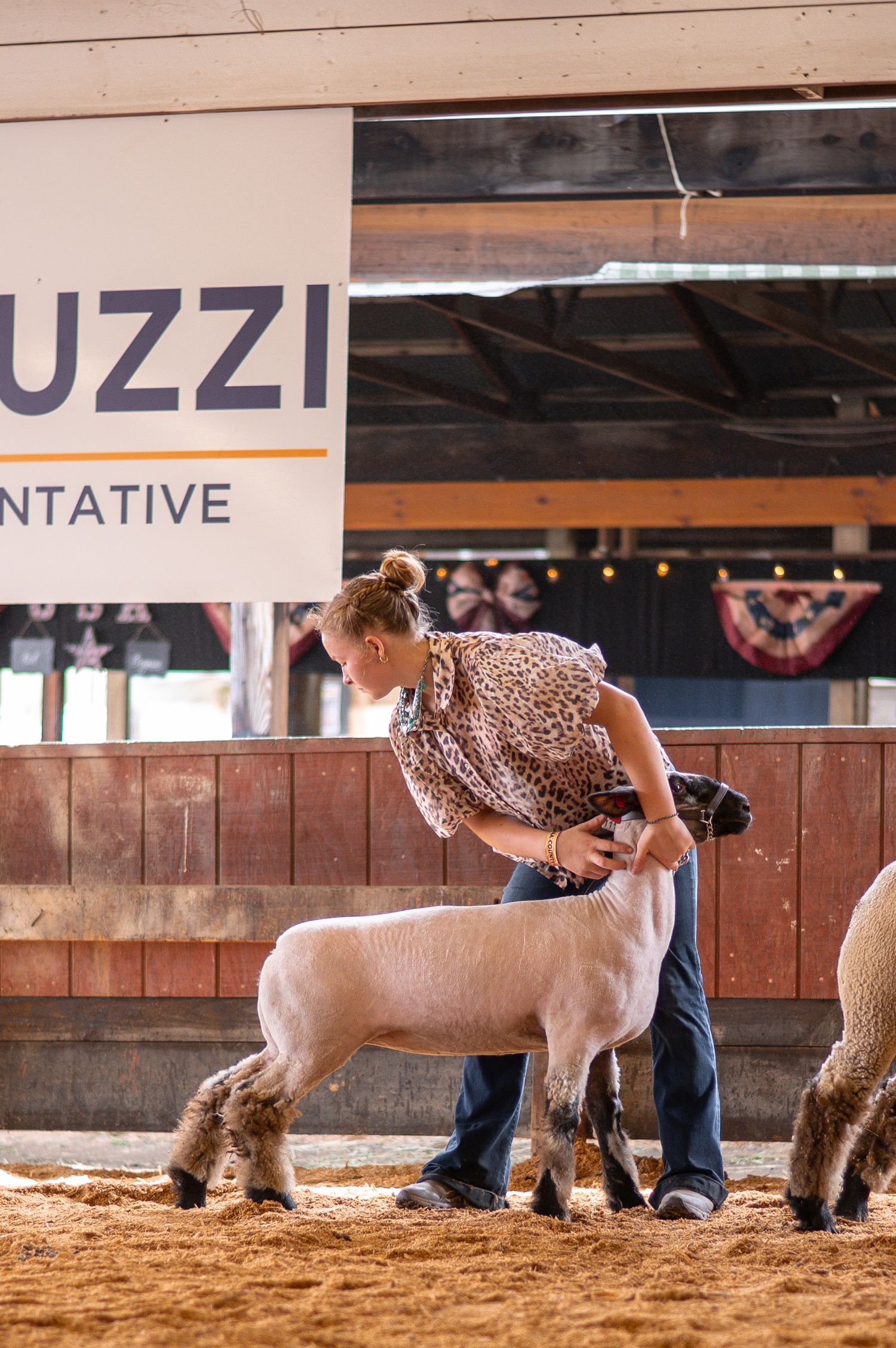 Young girl presenting a lamb at an indoor livestock show competition in a barn arena.