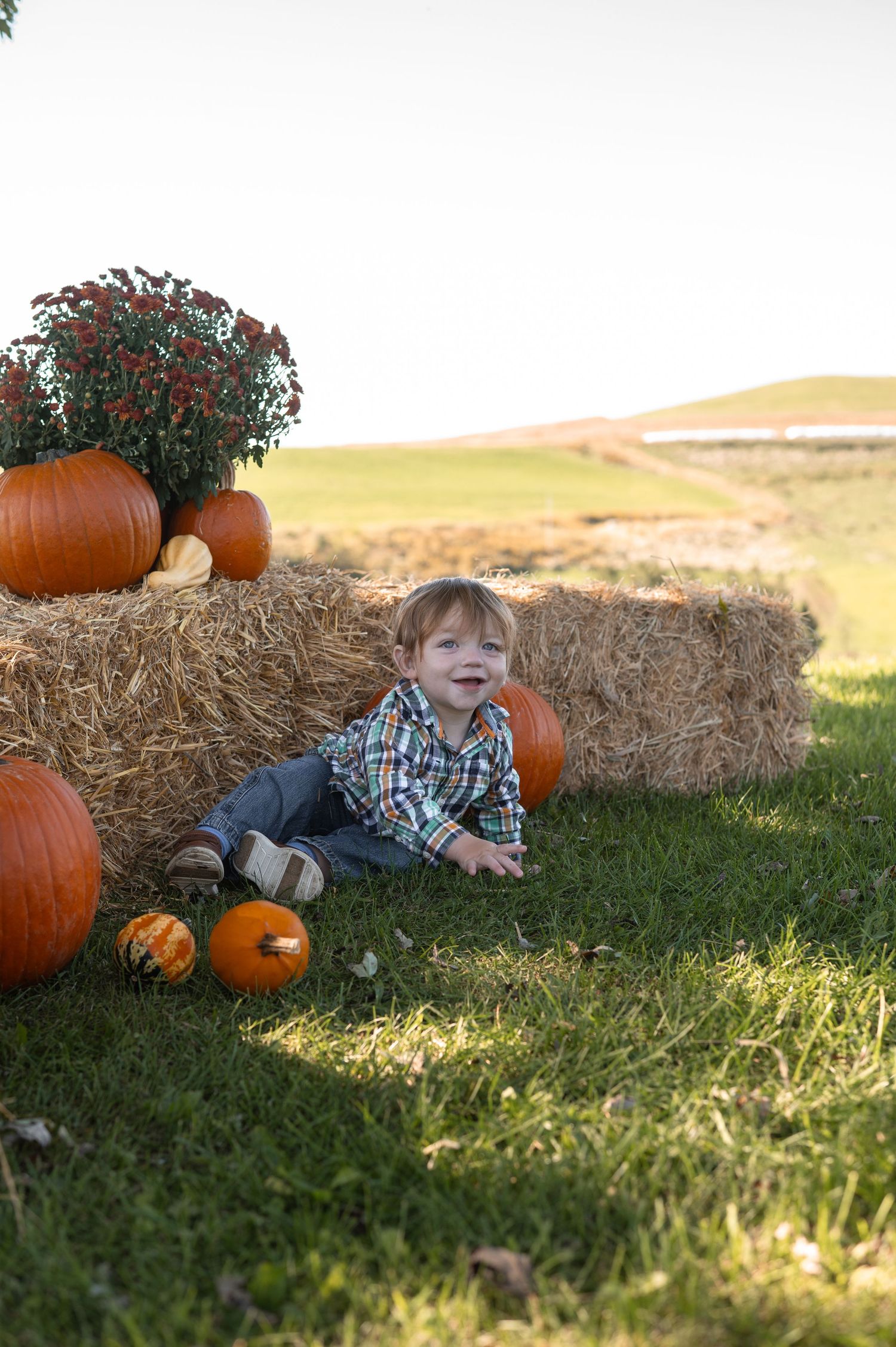 Toddler boy sitting on grass surrounded by pumpkins and hay bales with fall mums in an autumn outdoor setting.