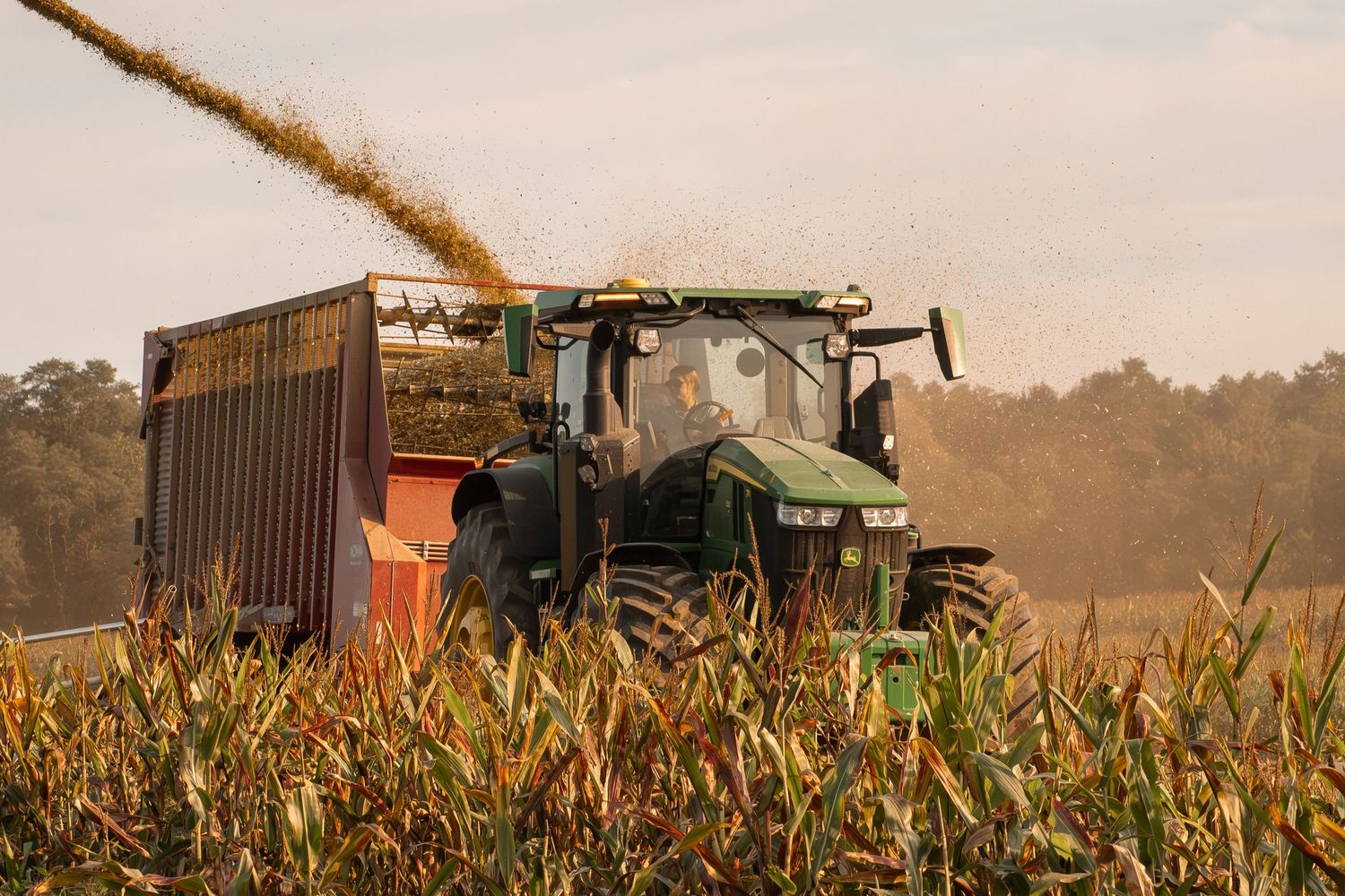 Multiple farm vehicles and tractors harvesting corn in a field during sunset.
