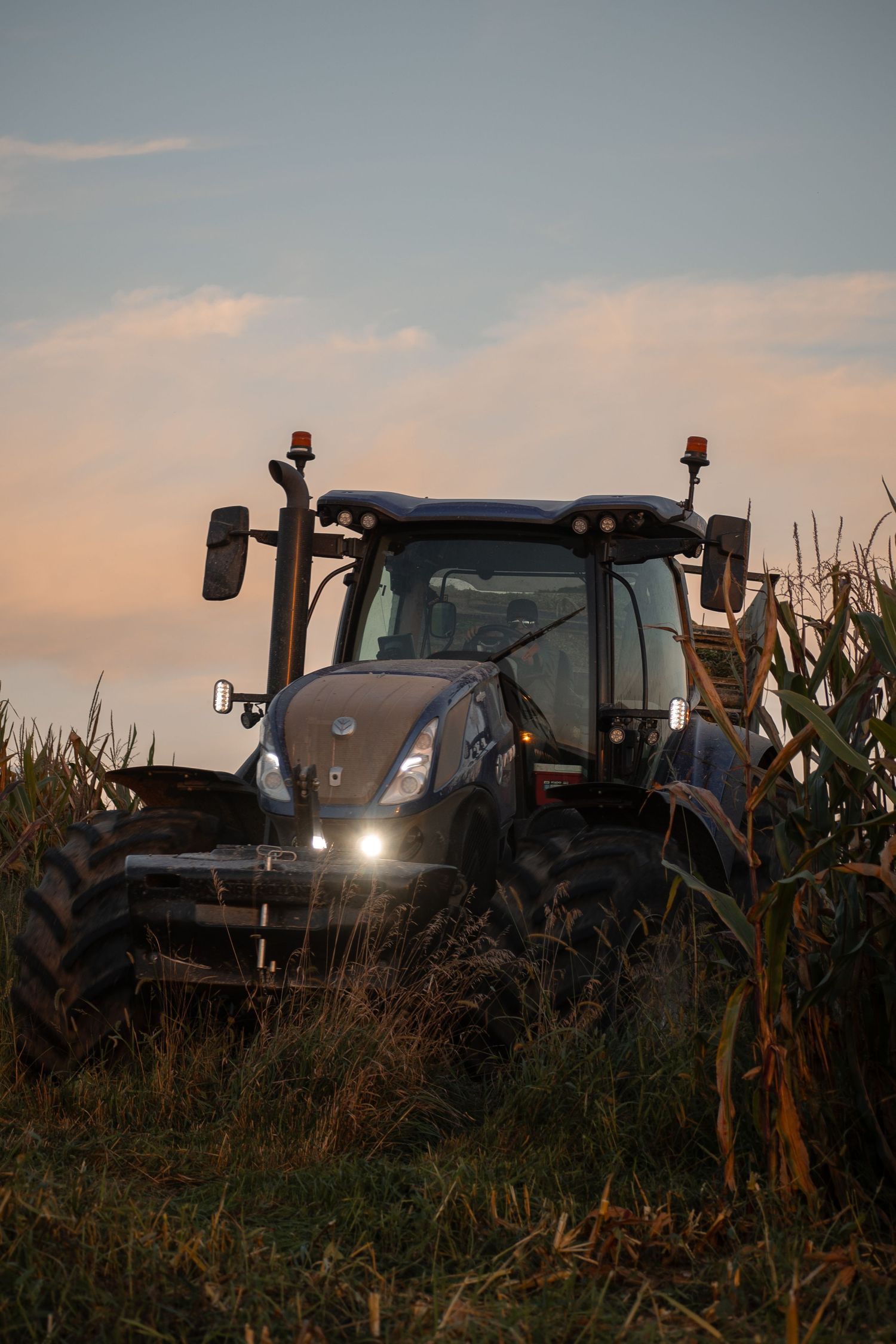 Silhouettes of tractors in a corn field at dusk with dramatic lighting.
