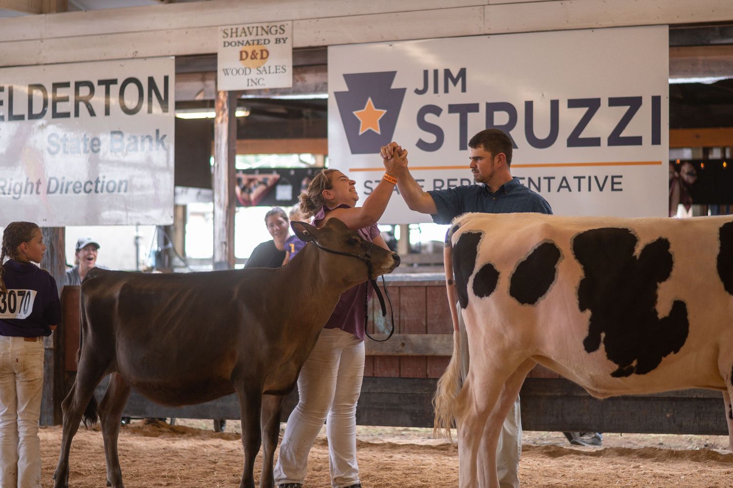 Young girl high-fiving handler with Holstein dairy cows at Jim Struzzi state representative sponsored county fair.