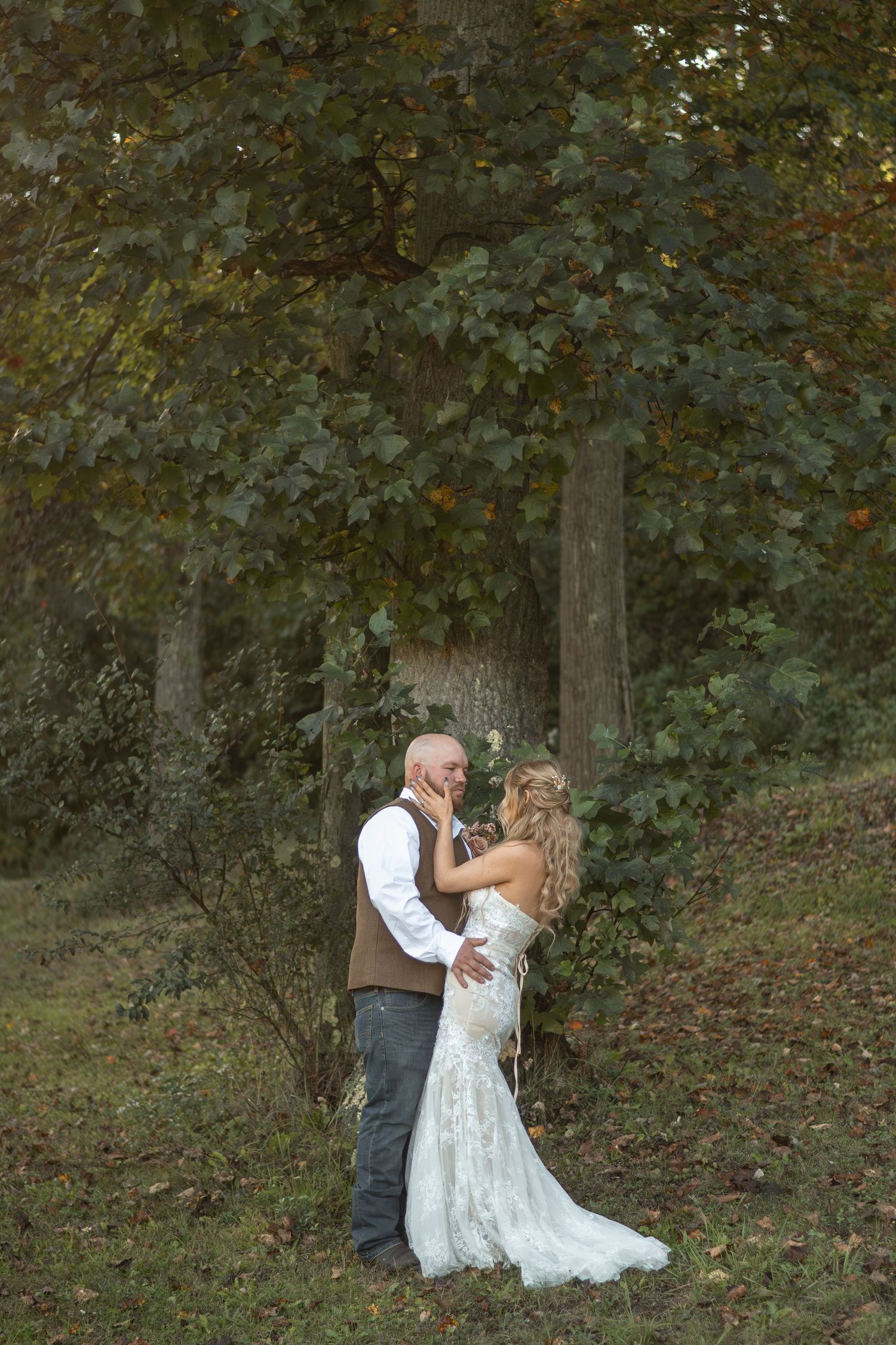 A romantic wooded scene with trees and natural foliage in autumn.