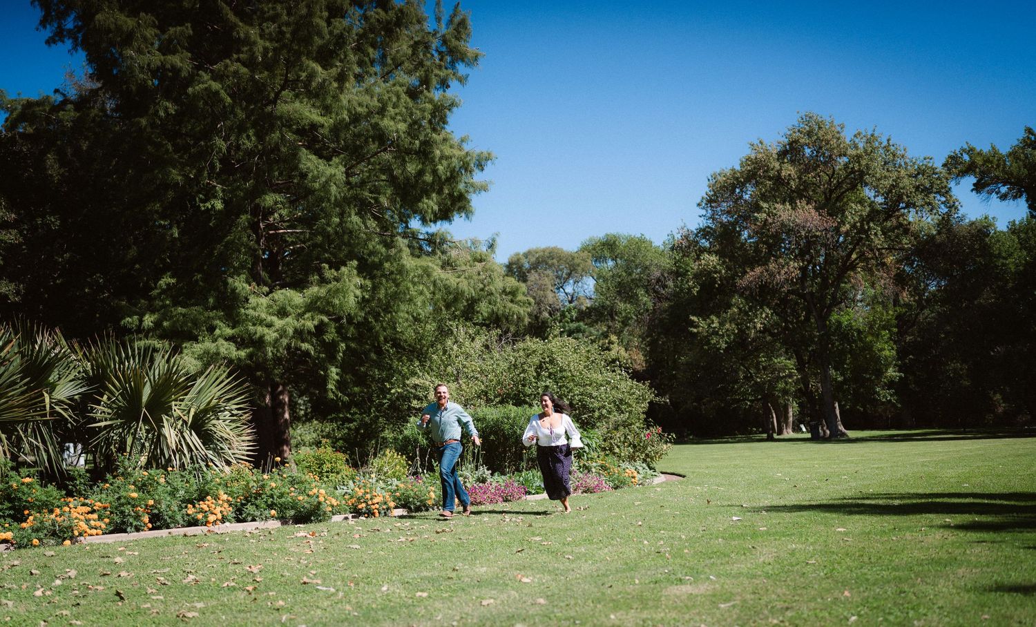 A beautiful garden landscape with green lawns and trees under a bright blue sky.