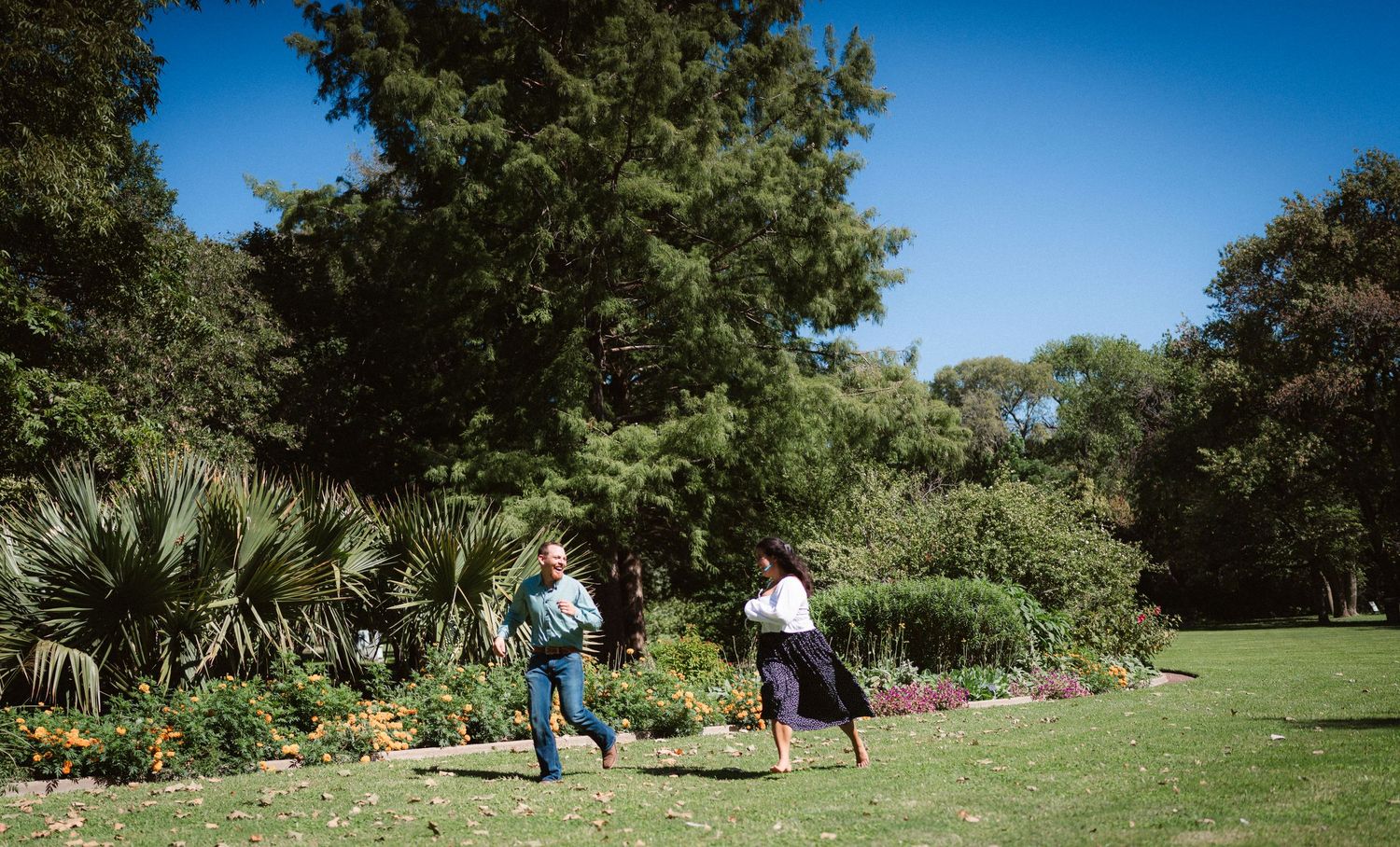 Beautiful garden landscape with trees and walkways under bright blue skies.