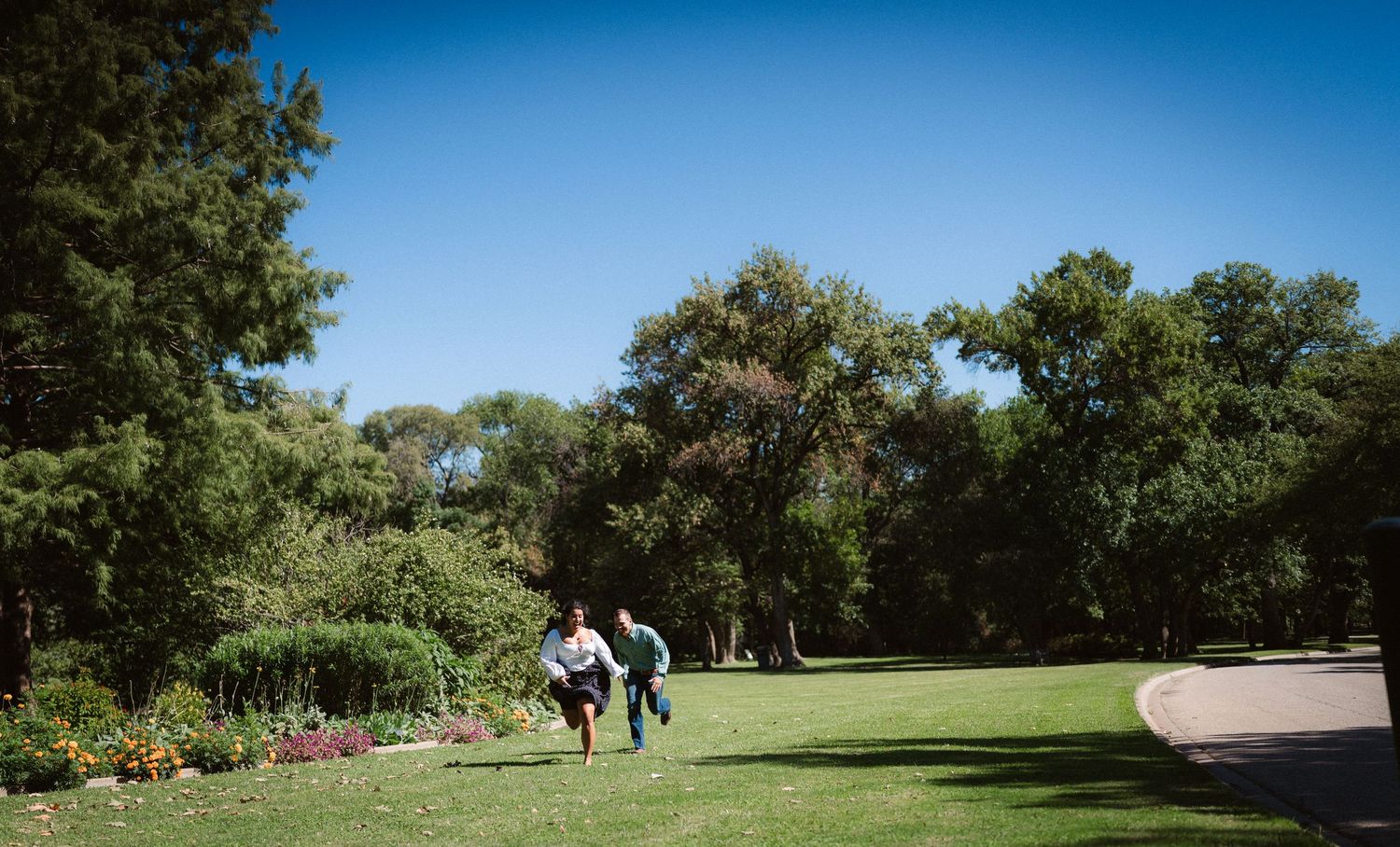Scenic landscape of a manicured lawn surrounded by mature trees and stone pathways under bright blue skies.