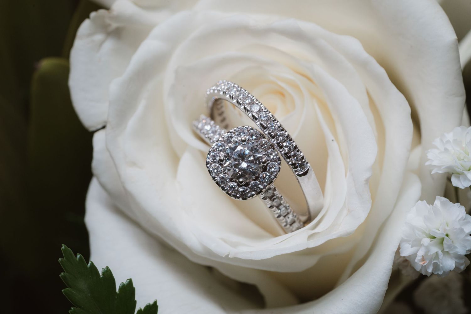 A sparkling diamond ring nestled in the center of a pristine white rose bloom.