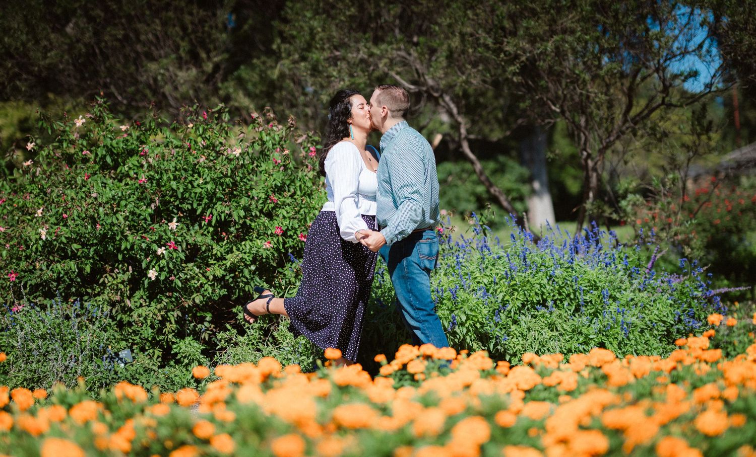 A romantic stroll through a garden path with orange flowers blooming in the foreground.