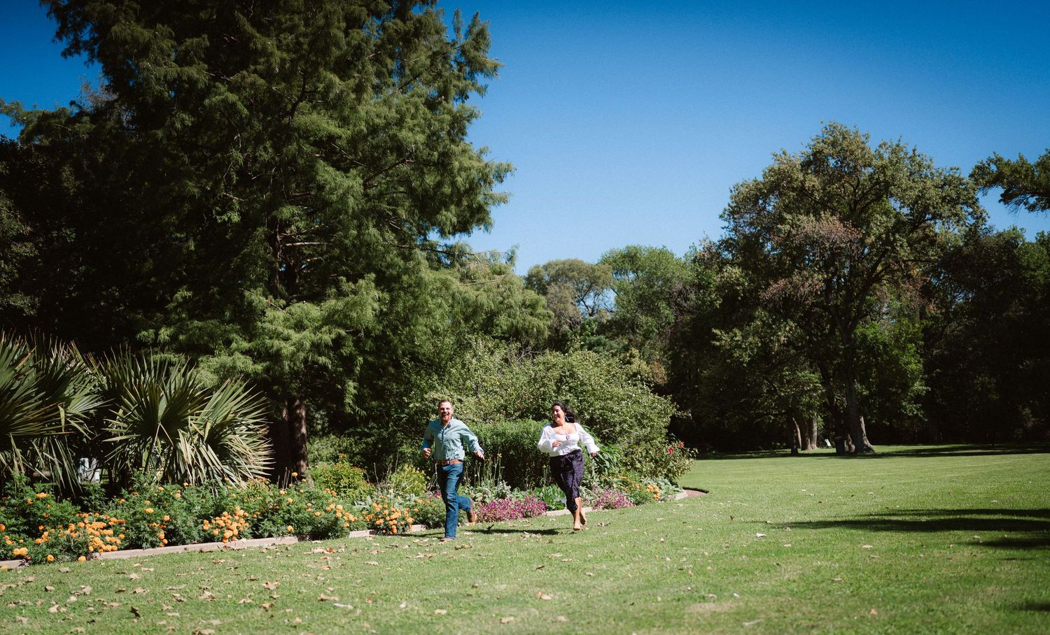 Scenic garden landscape with green trees and blue sky on a bright sunny day.
