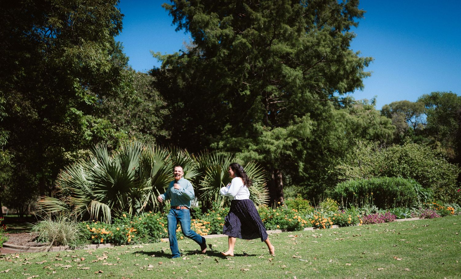Panoramic view of a botanical garden with blooming flowers and manicured lawns.