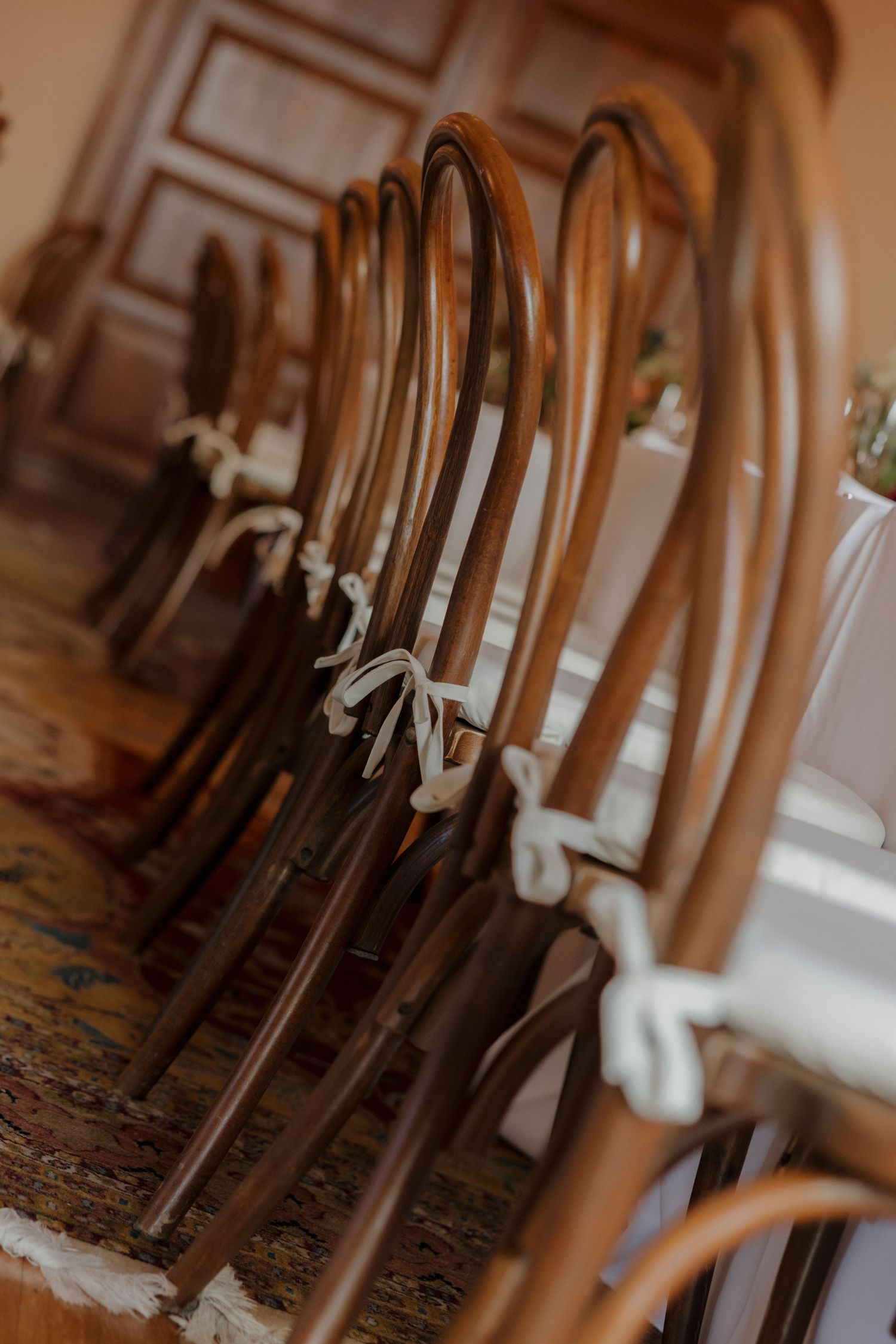 Close-up of wooden bentwood chairs with white cushions lined up along dining tables.