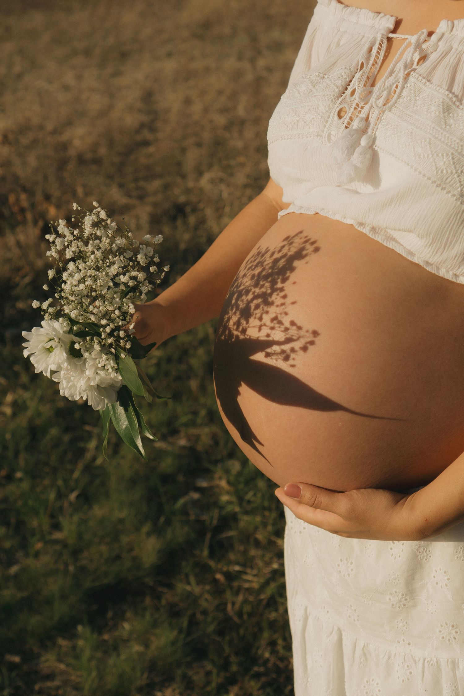Close-up of a pregnant belly with delicate white flowers casting shadows in warm sunlight.