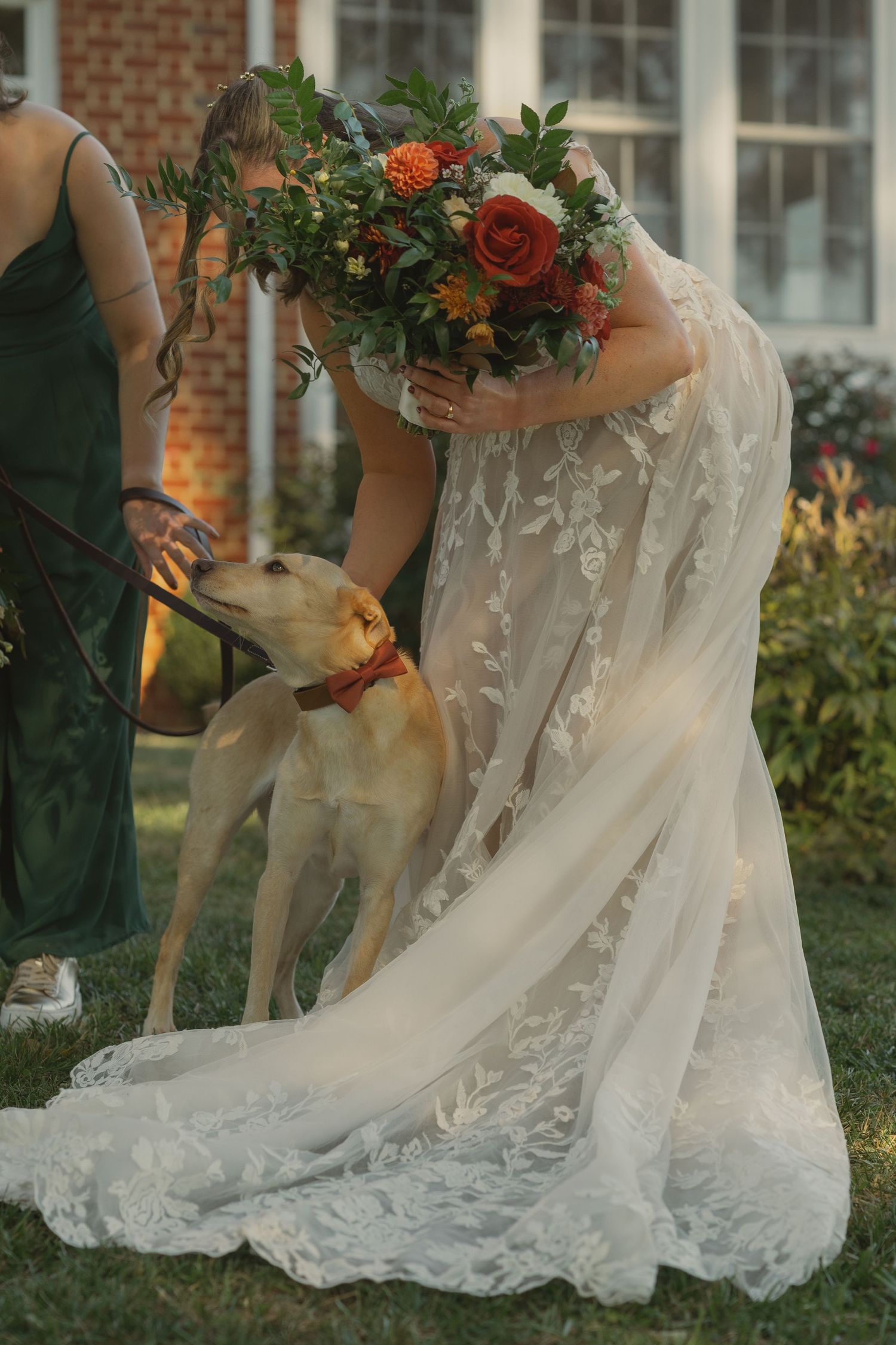 Bride in lace wedding gown bending to greet yellow lab dog while holding autumn floral bouquet outdoors.