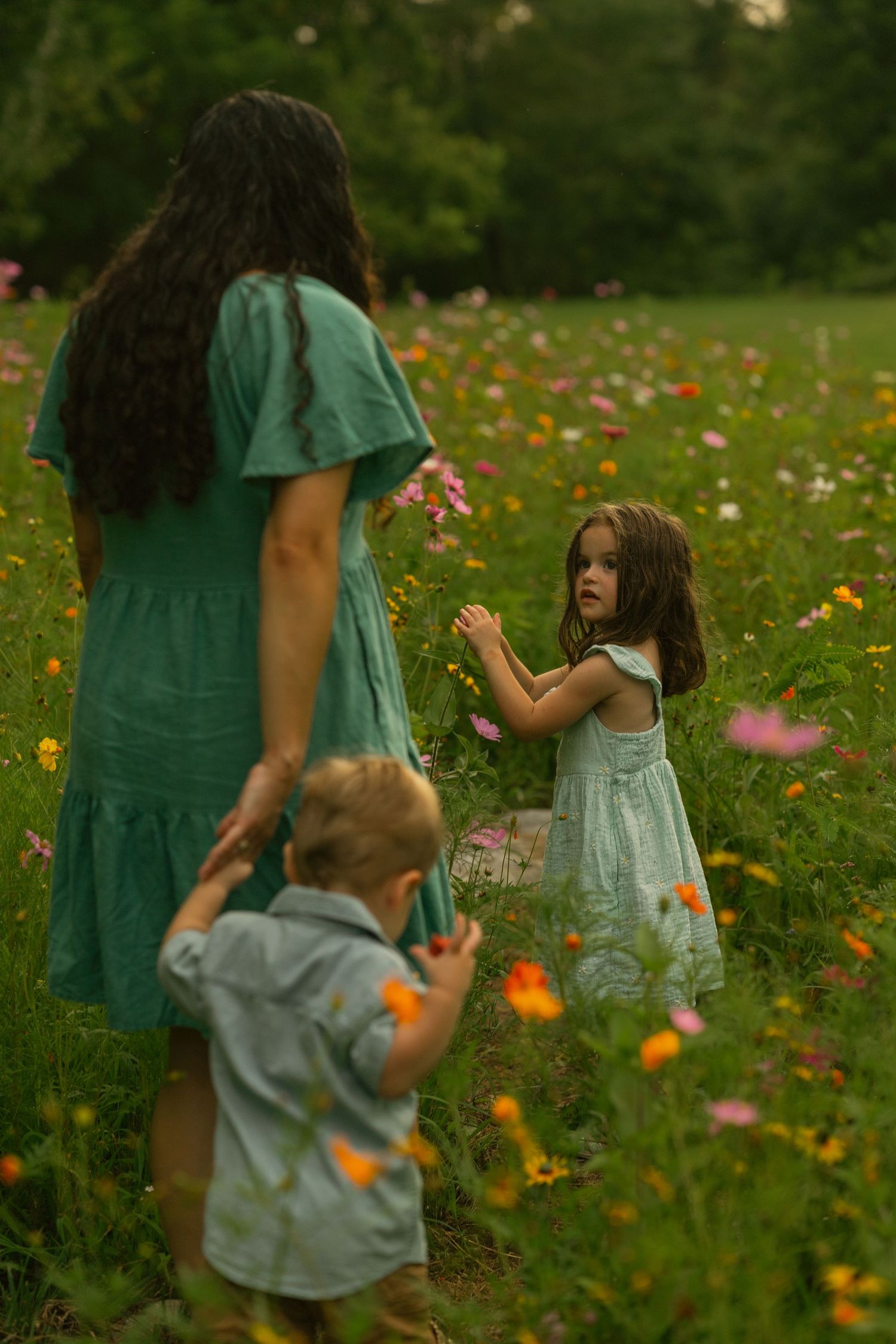 Children playing in a vibrant wildflower meadow filled with colorful blooms. Hillsboro, Virginia