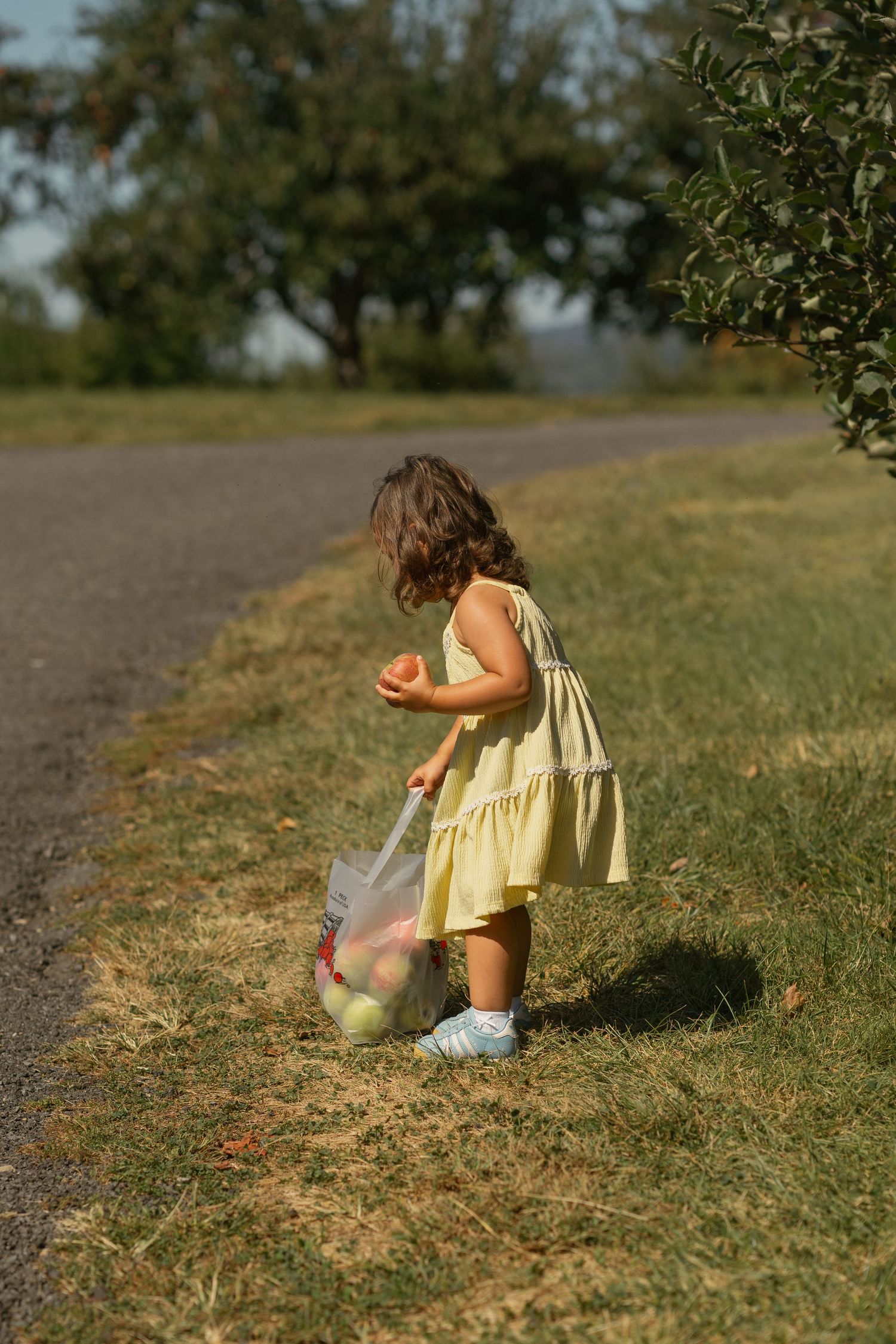 Young child in yellow dress collecting fallen fruit on a rural path.