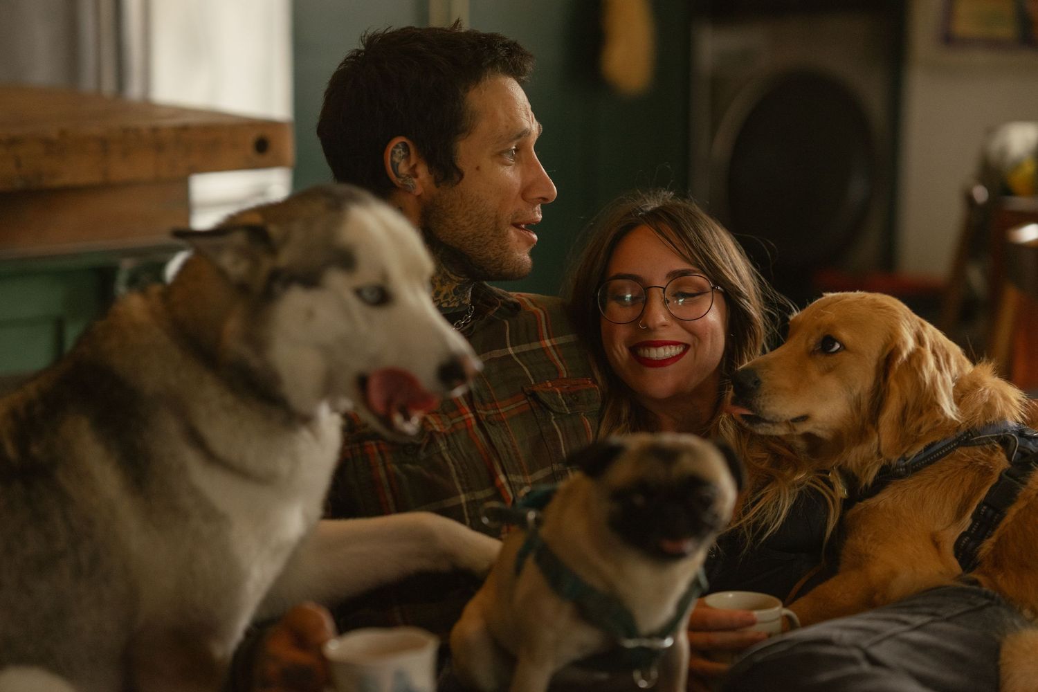 Happy dogs and their owners share joyful moments together at a social gathering.