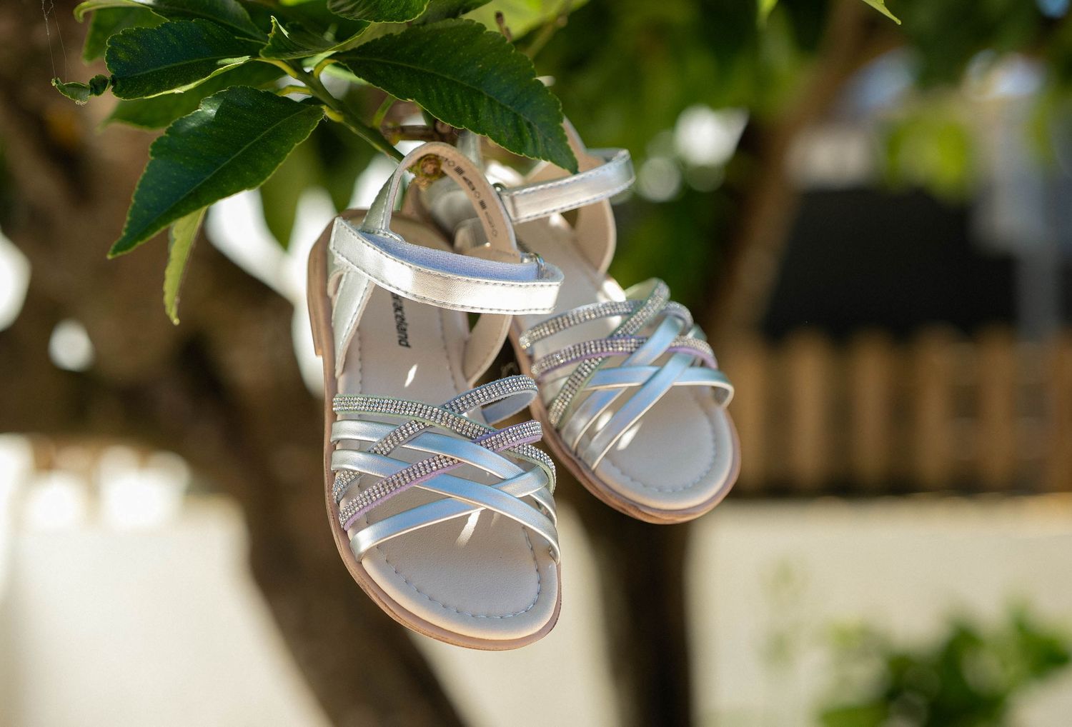 Silver strappy sandals hanging from a tree branch outdoors in natural light.