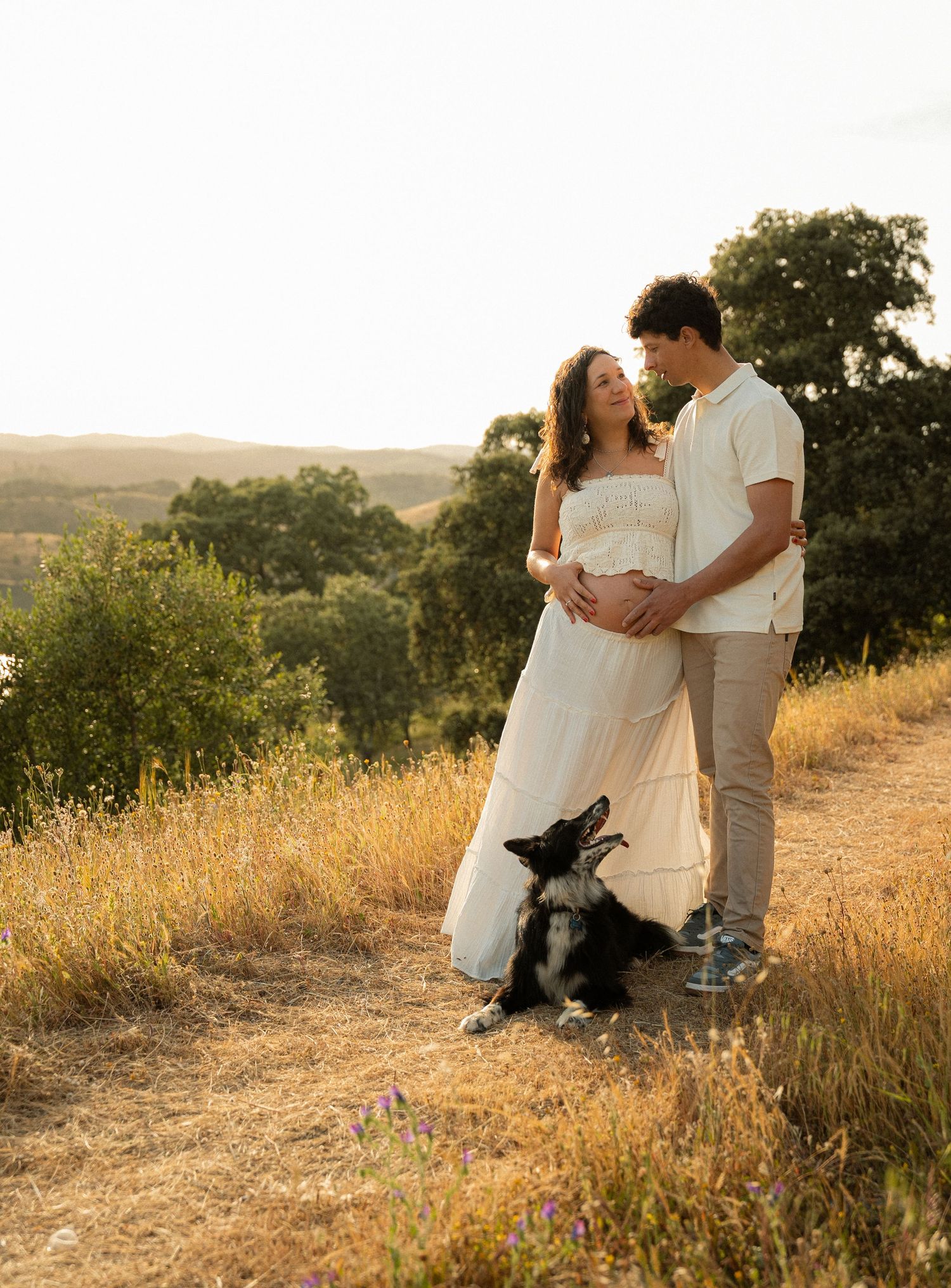 Couple in golden field at sunset, woman in white maternity dress, man in cream outfit, black dog sitting nearby.