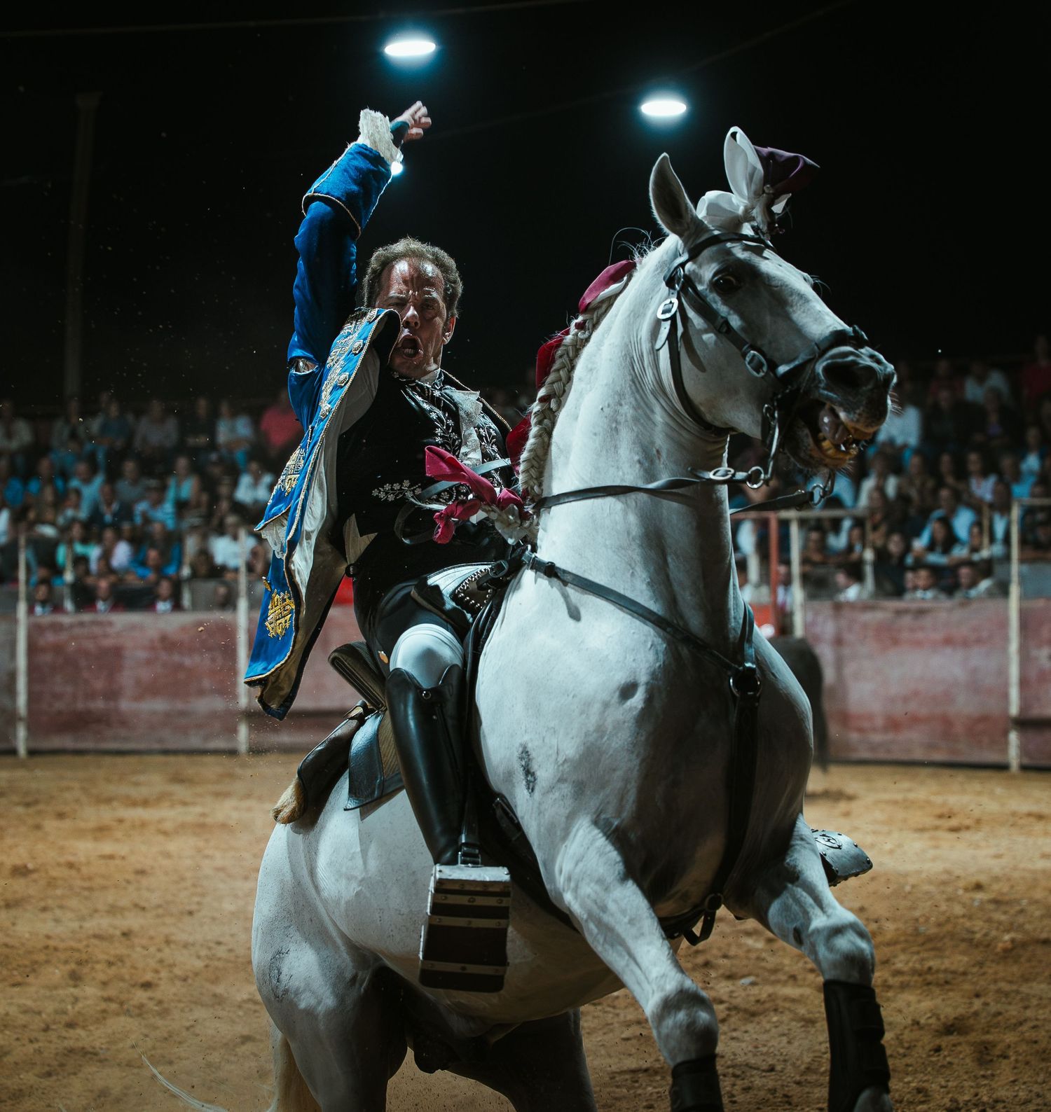 A white horse and rider perform in a nighttime equestrian show under bright arena lights.