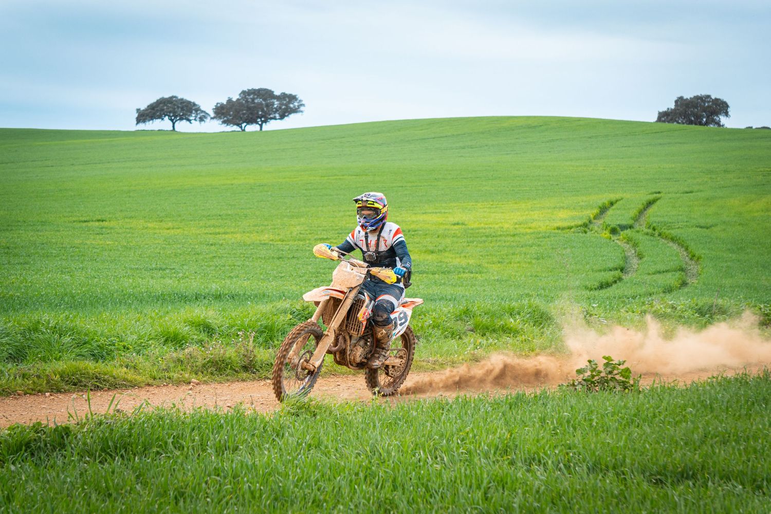 Motorcyclist kicks up dirt while riding through green rolling hills with scattered trees in the background.