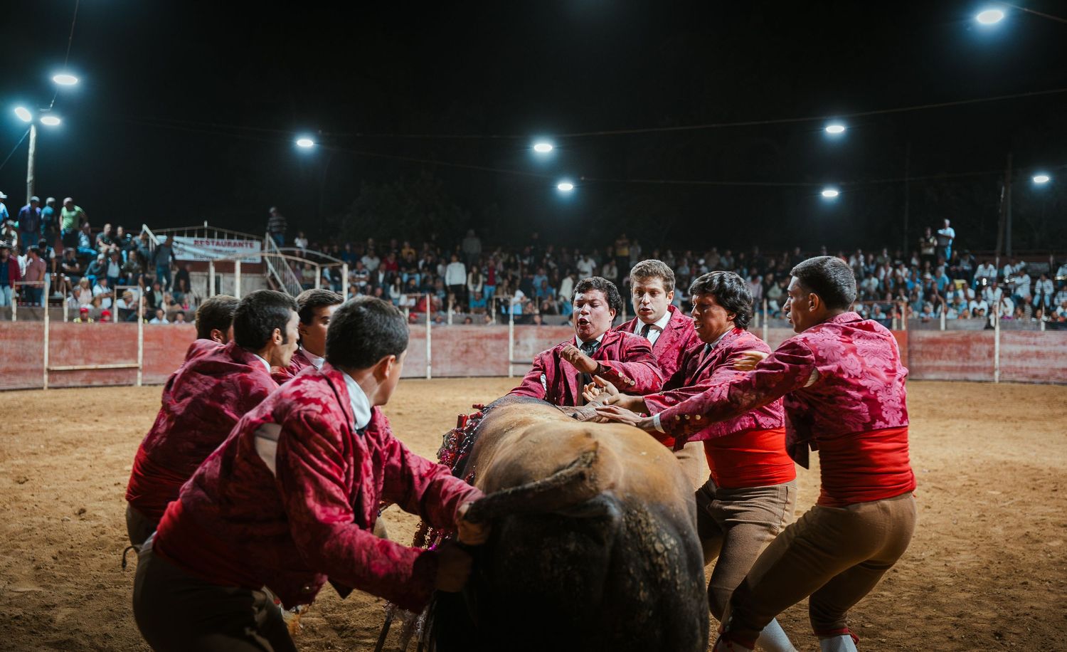 Group of people in red uniforms attempting to contain a large bull in a dirt arena under stadium lighting.