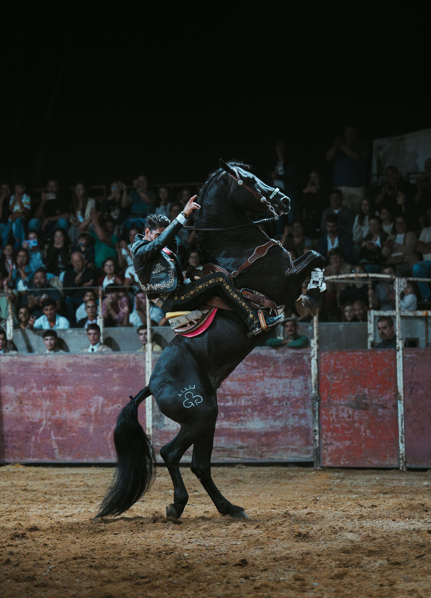 Action shots of a bullfight showing multiple passes between matador and bull in a sandy arena.