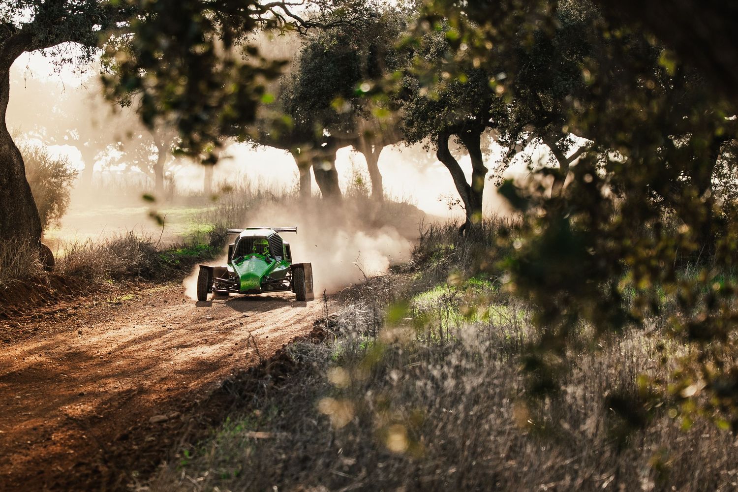 Green off-road buggy kicks up dust while racing through a dirt track surrounded by trees in misty conditions.