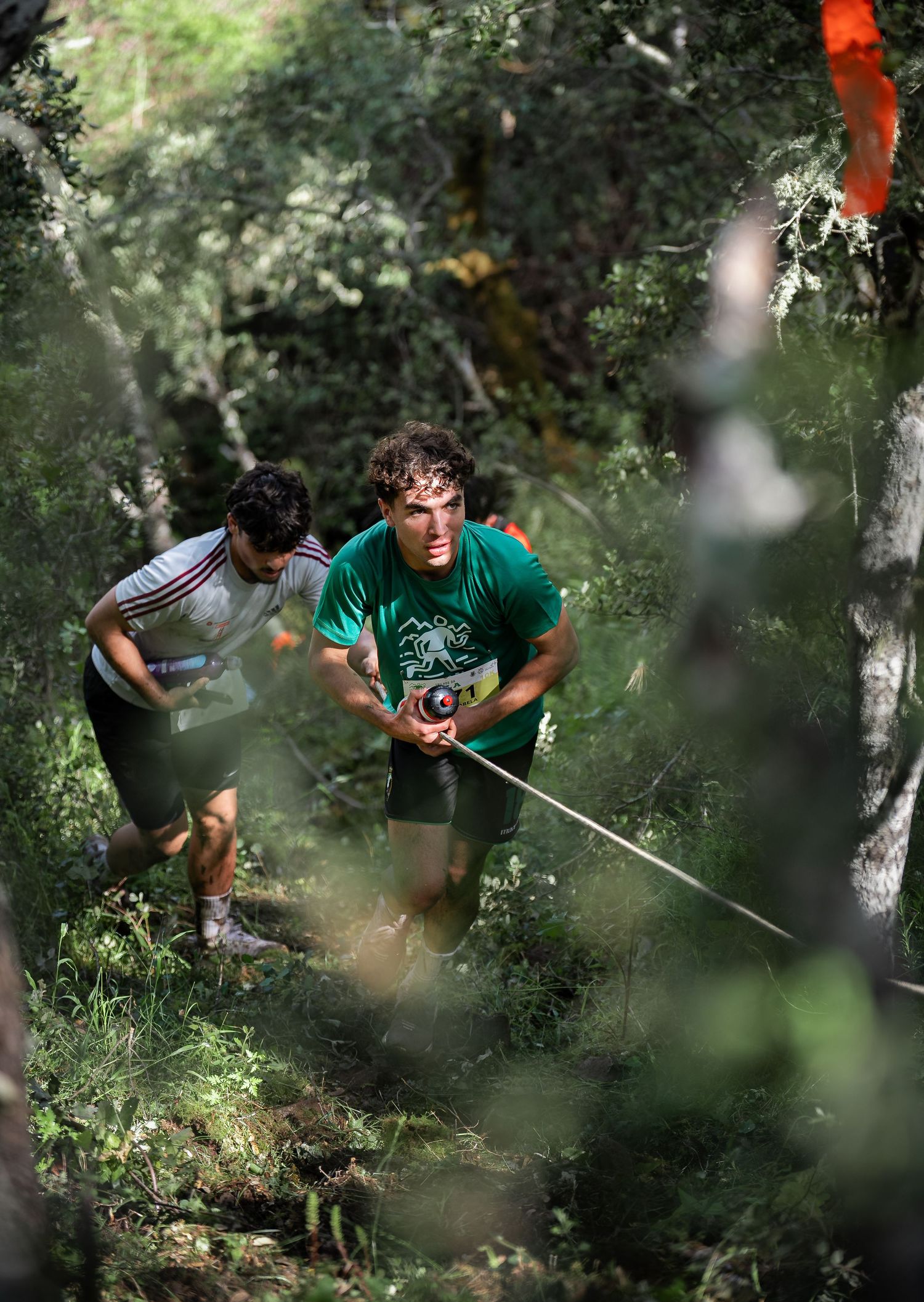 Runners navigating through dense forest terrain during a challenging trail race.