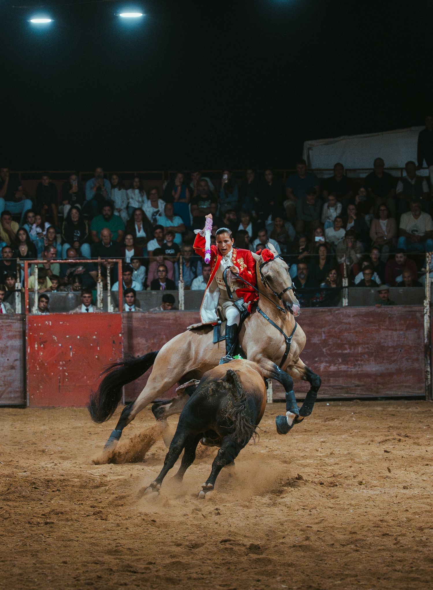 Action shot of bull riding competition showing rider attempting to maintain balance on aggressive bull.