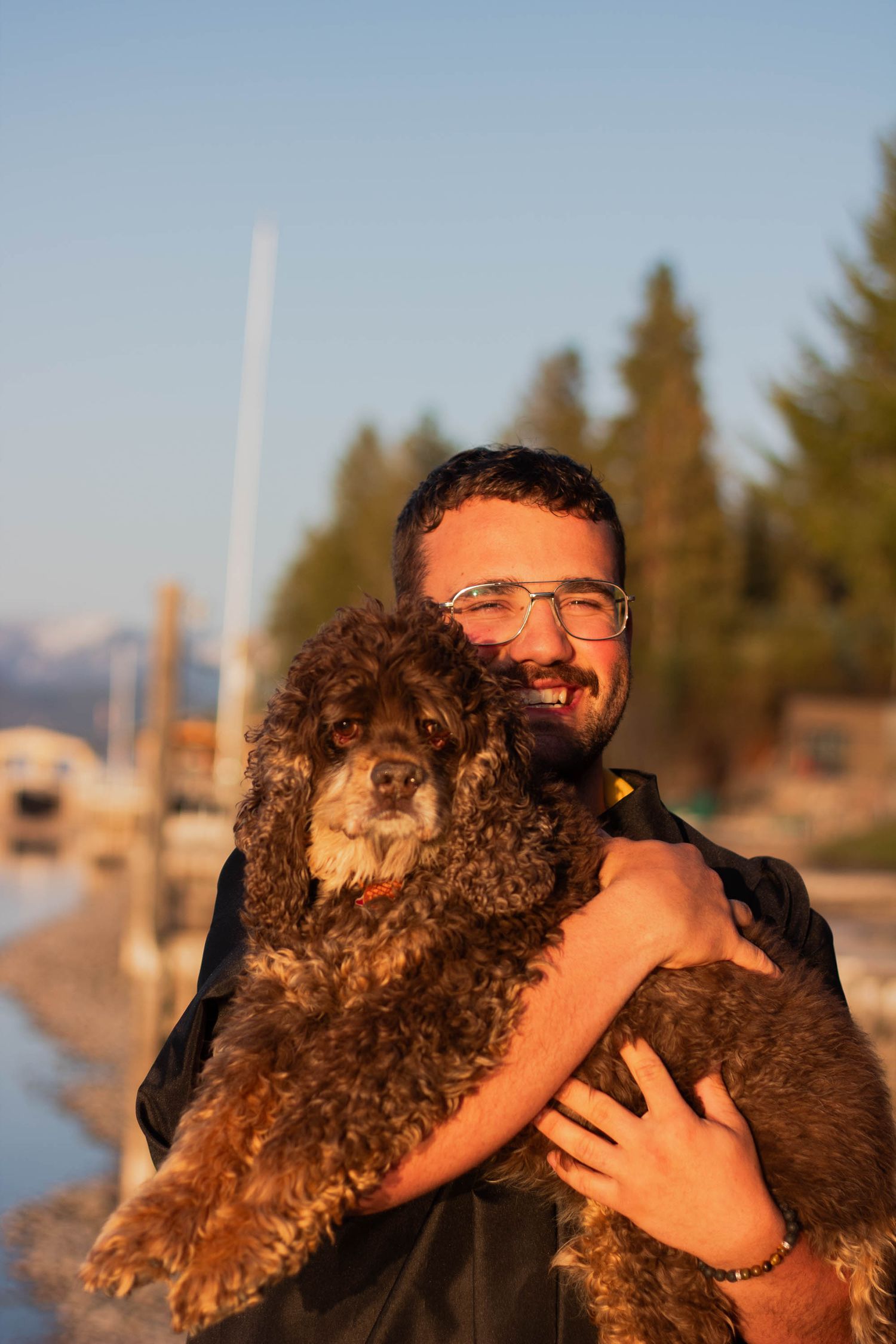 Someone enjoying a joyful outdoor moment with their fluffy brown poodle dog in the sunlight.