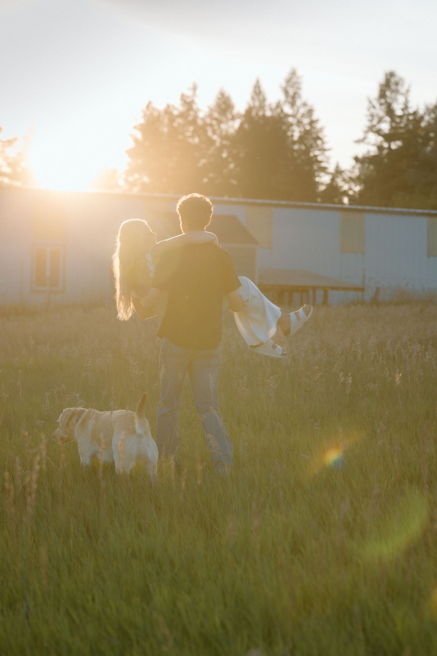 People walking through a tall grass field at sunset with golden light filtering through.