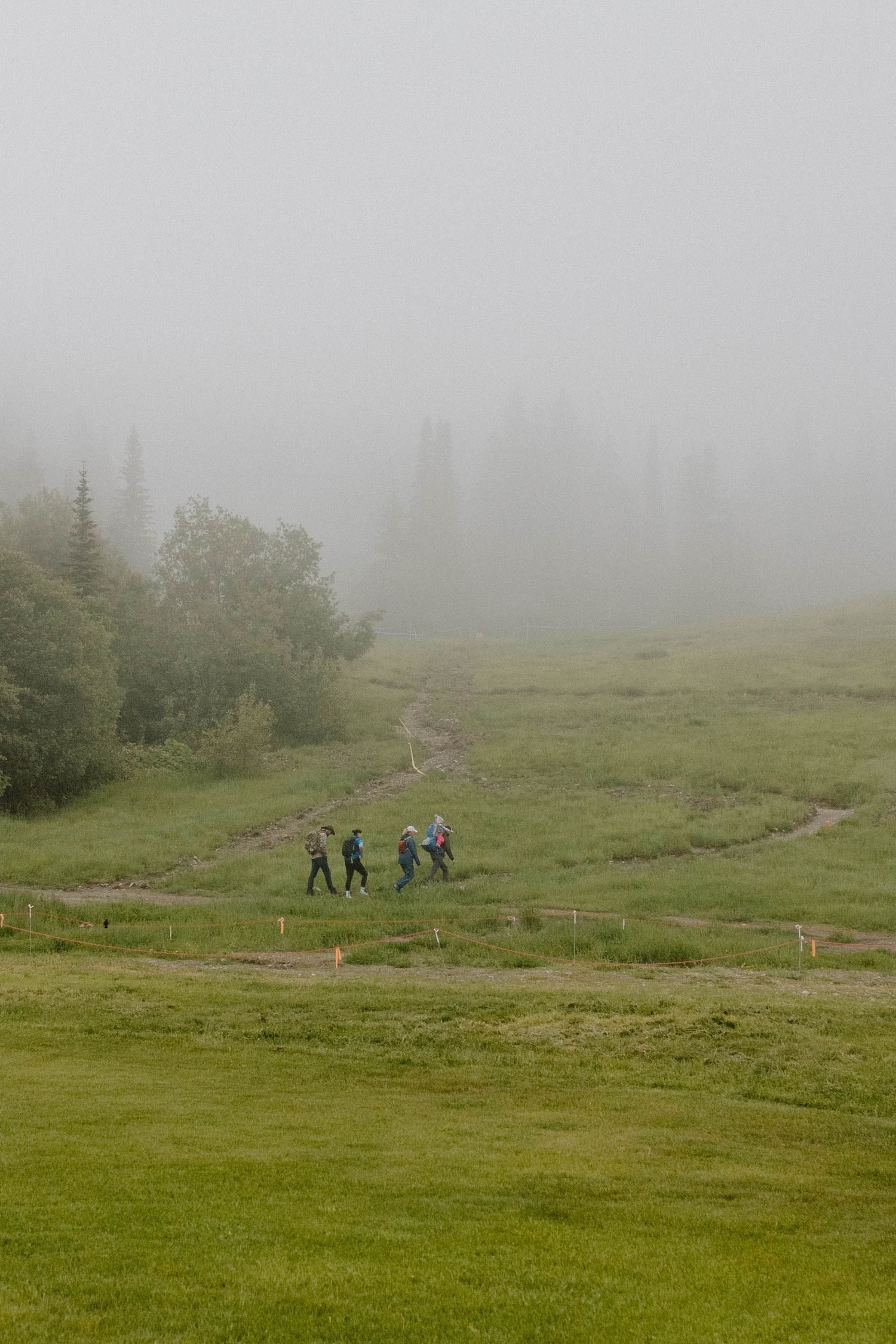 Foggy mountain meadow with small group of hikers traversing the green landscape.