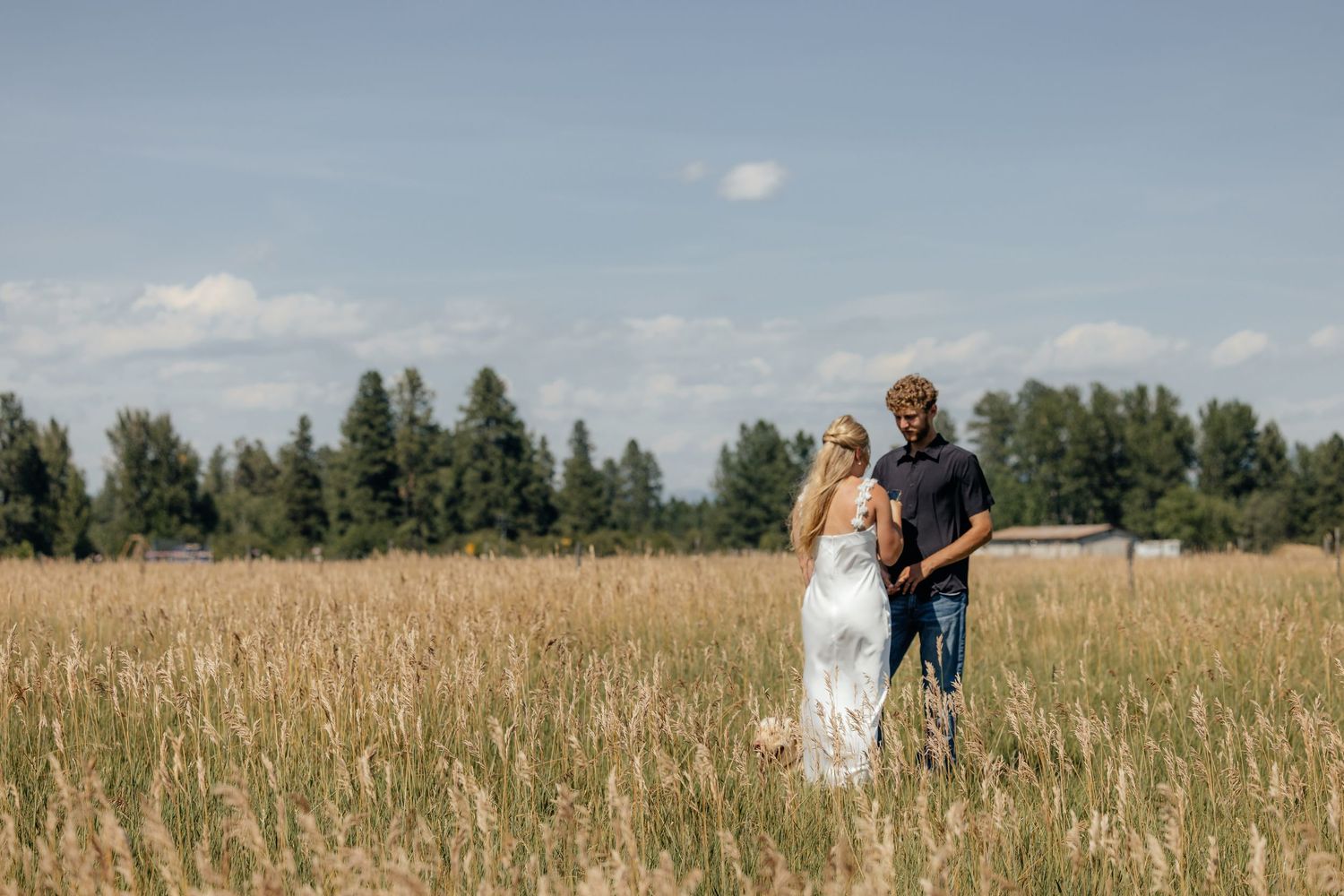 Romantic couple photoshoot in a tall grass field with mountain backdrop.