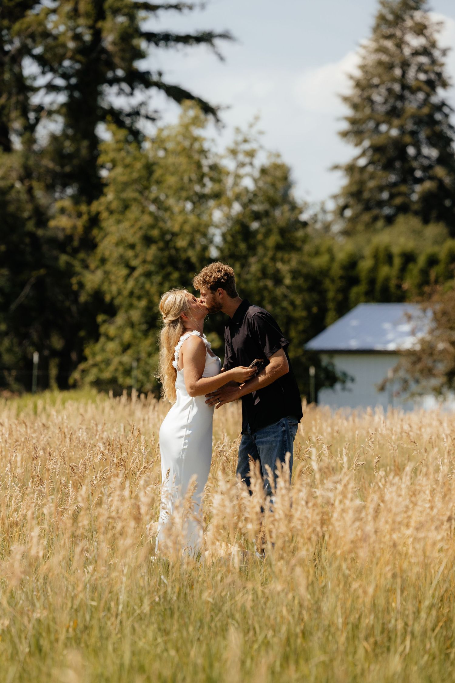 Newlyweds embracing in a golden field with evergreen trees in the background.