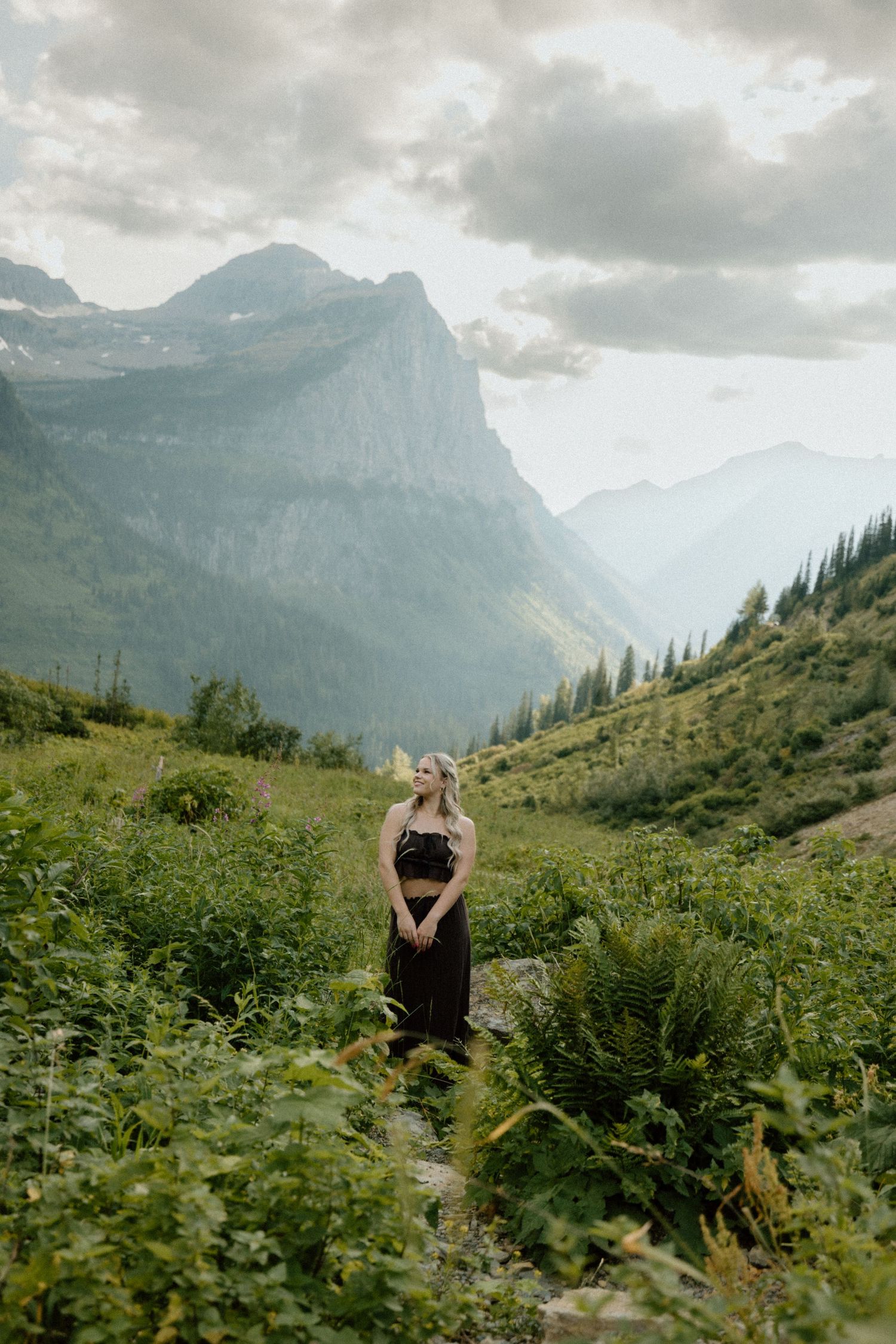 Lush wildflower meadow with majestic mountain peaks rising in the misty background.
