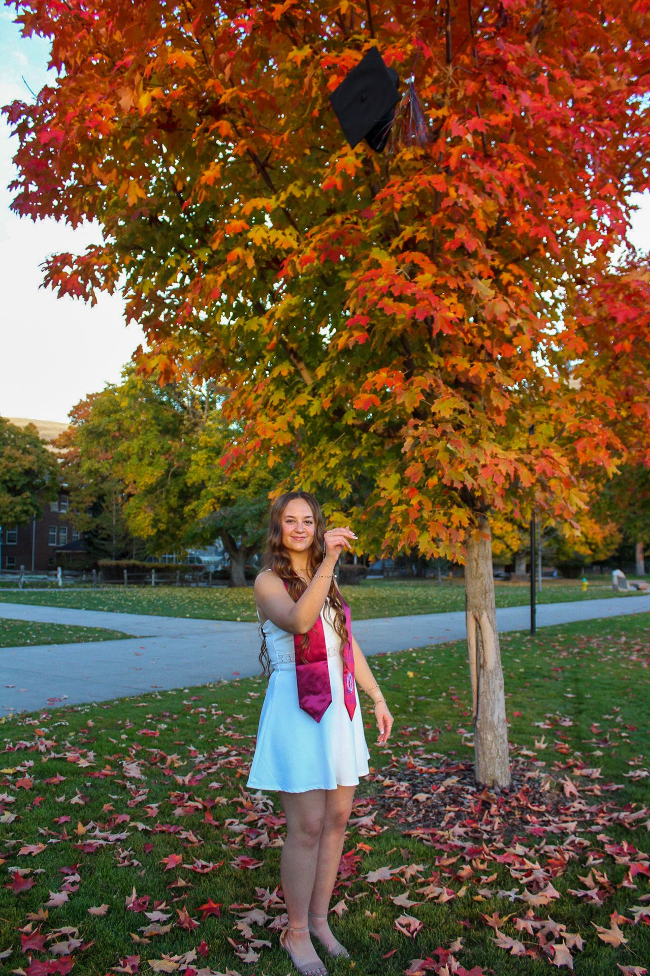 Autumn trees with vibrant red and orange maple leaves create a scenic backdrop along a paved walking path.