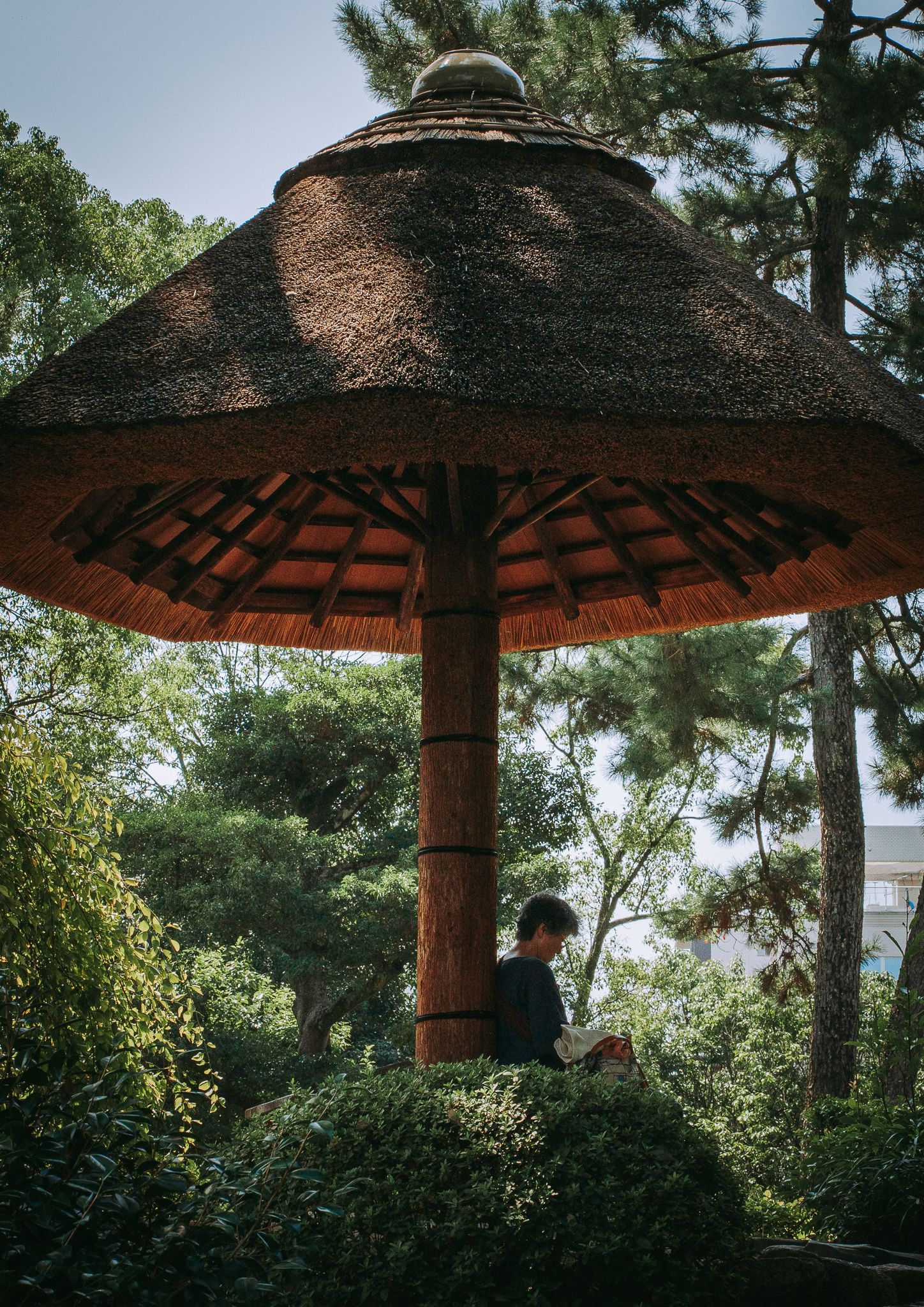 Eine ältere Japanerin Frau sitzt bei sonnigem Wetter unter einem großen traditionellen japanischen Schirm aus Holz und Reet in einem Garten