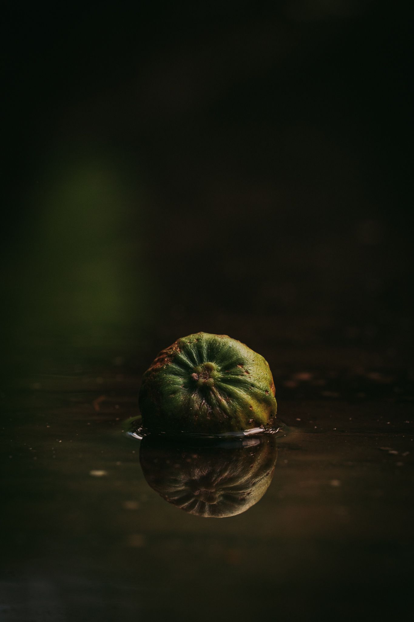 Eine Feige liegt in einer Wasserpfütze und spiegelt sich in der Wasseroberfläche
