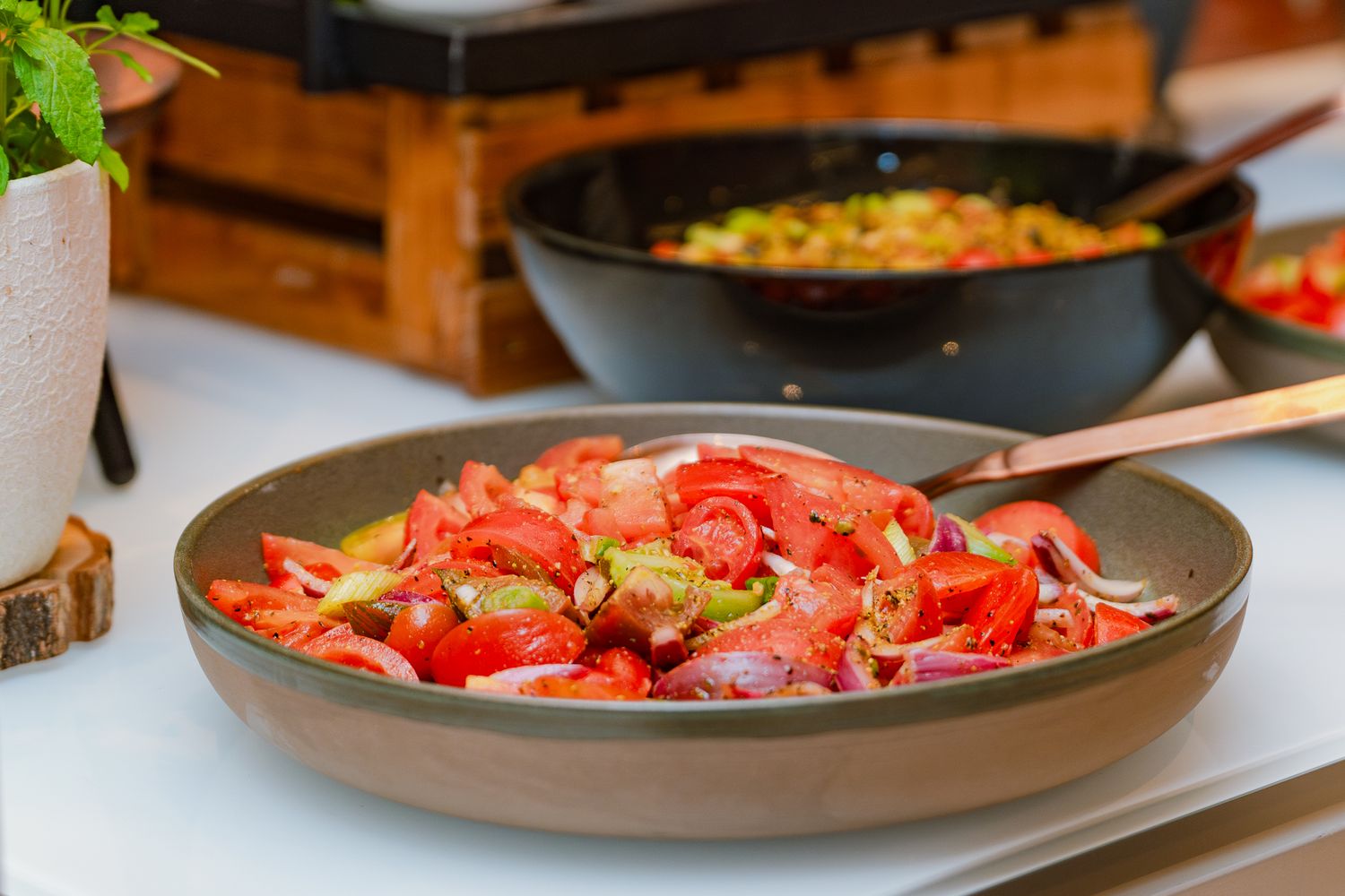 Frischer Tomatensalat mit Zwiebeln und Kräutern als Teil des ColorCloud-Konferenzbuffets