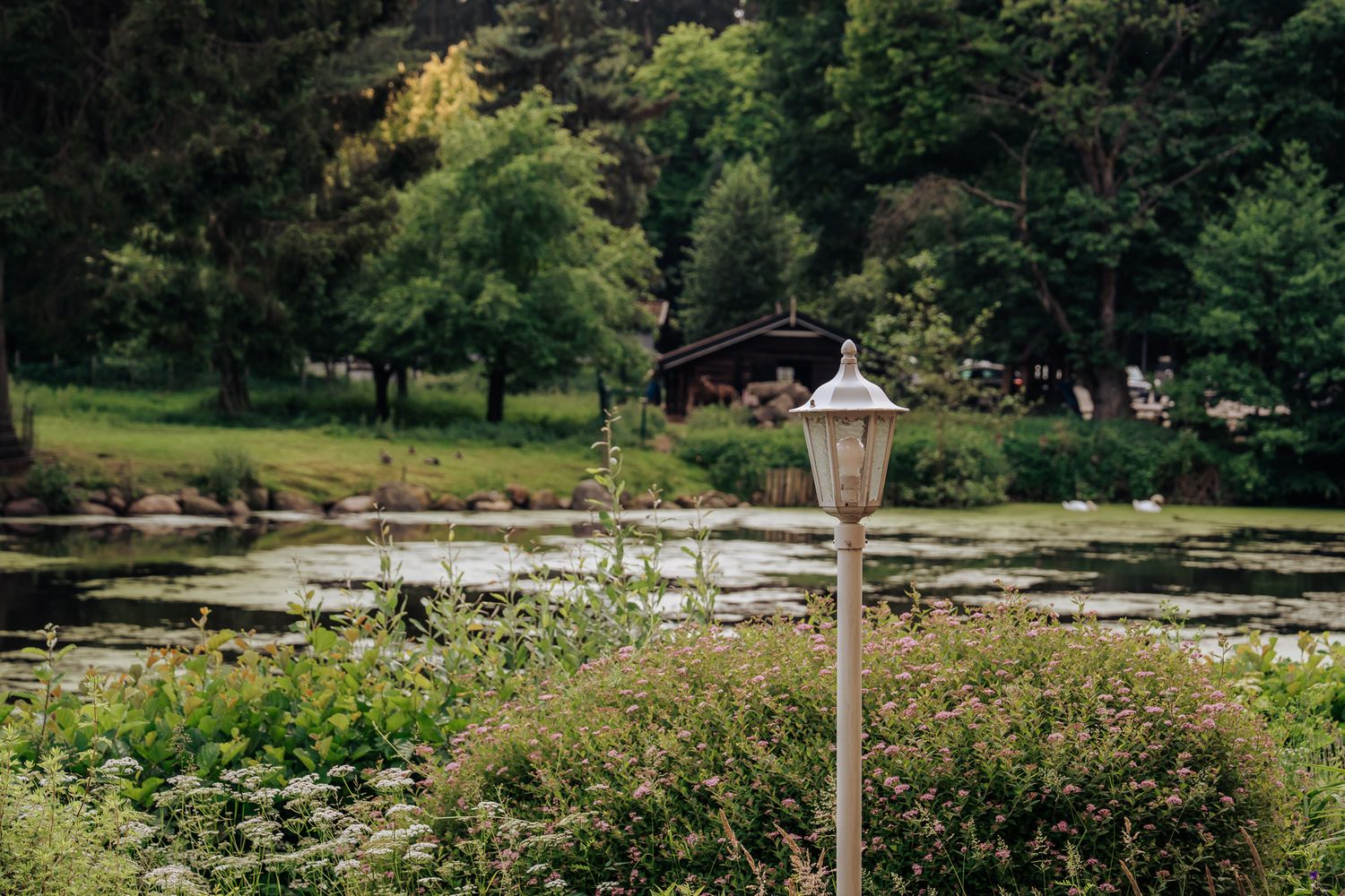 Eine weiße Gartenlaterne am Ufer des Lütjensees