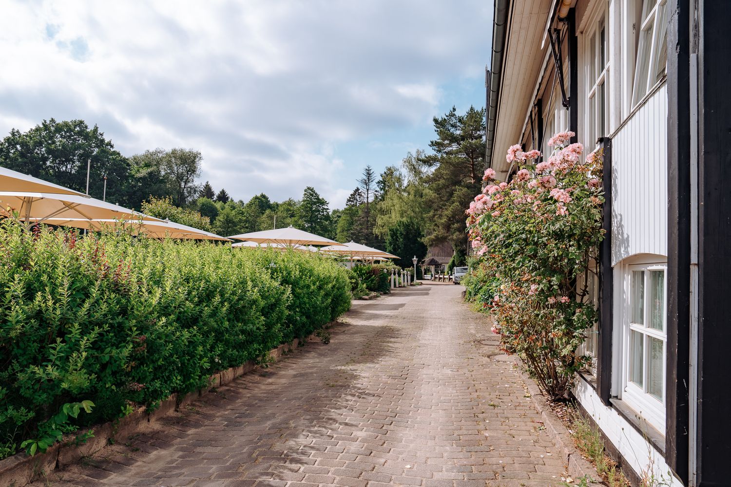 Weg zur Terrasse vorm Forsthaus Seebergen am Lütjensee