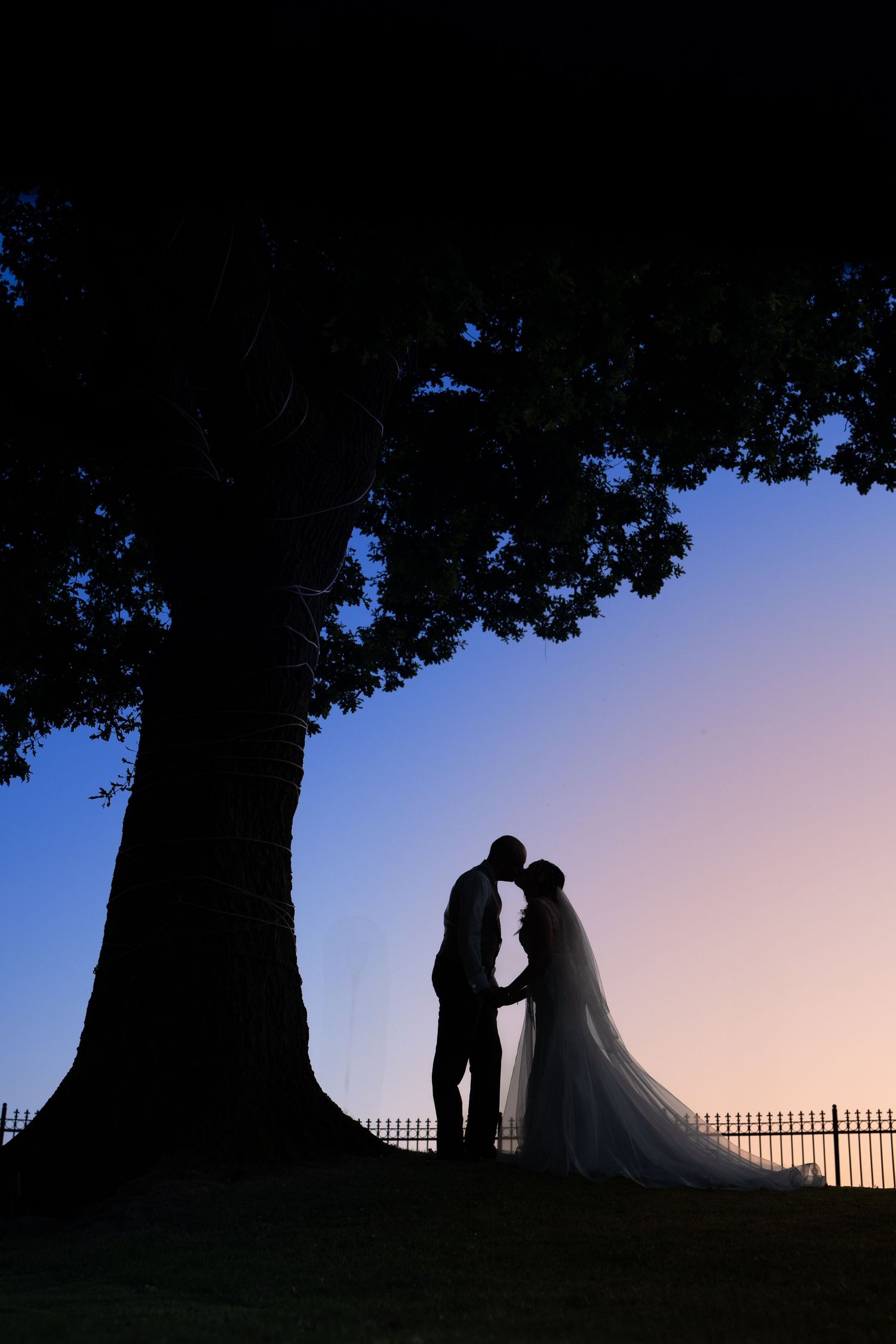 Silhouette of a bride and groom kissing under a large tree at sunset with a colorful blue and pink sky.