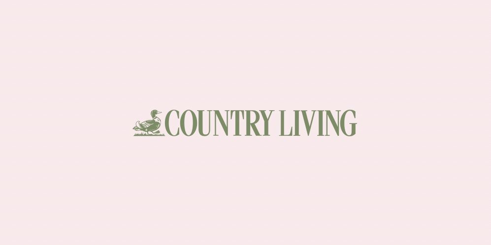Country Living magazine logo on a light pink background.