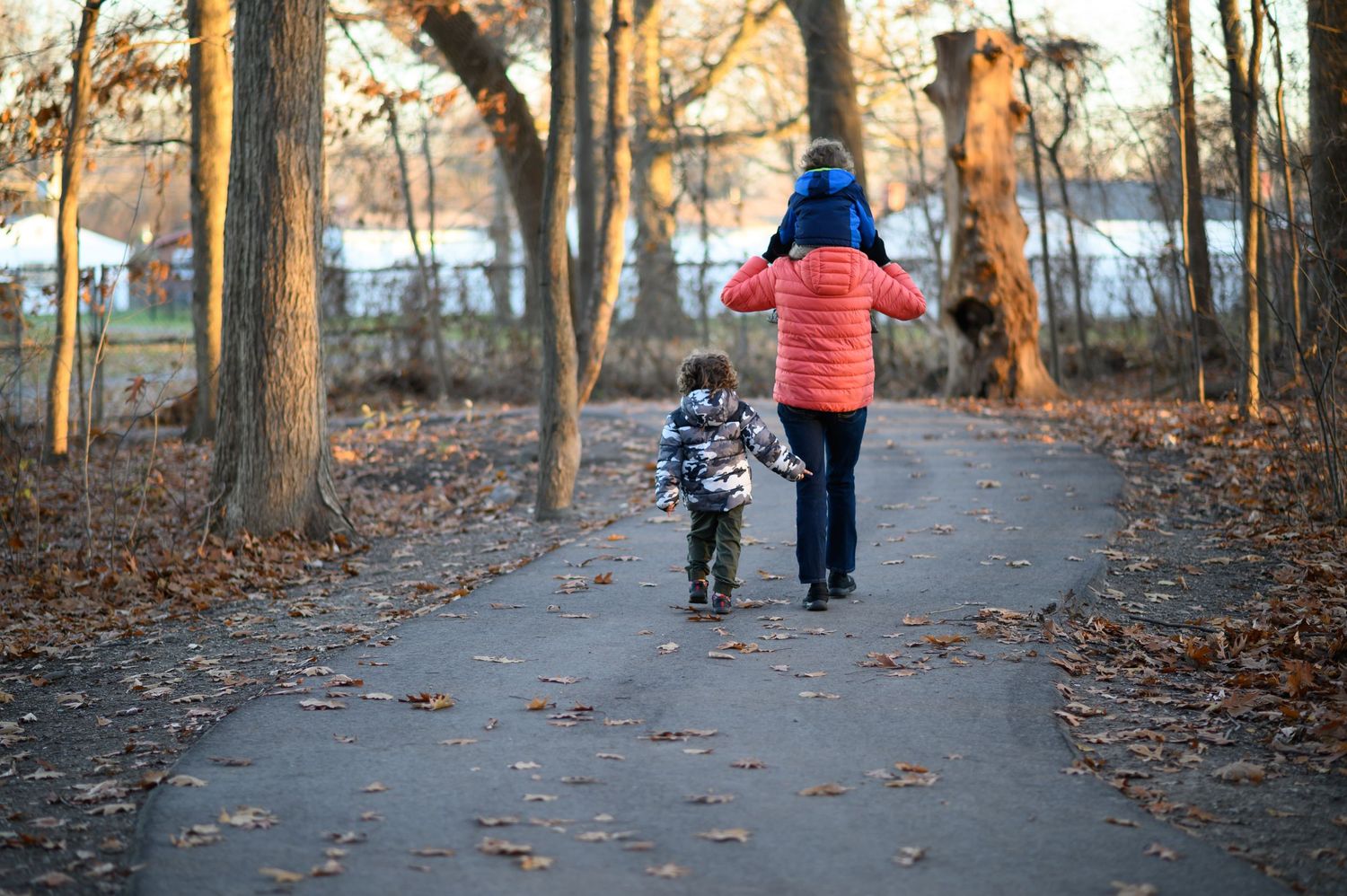 Woman and child walking hand in hand on a tree-lined autumn park path covered with fallen leaves.