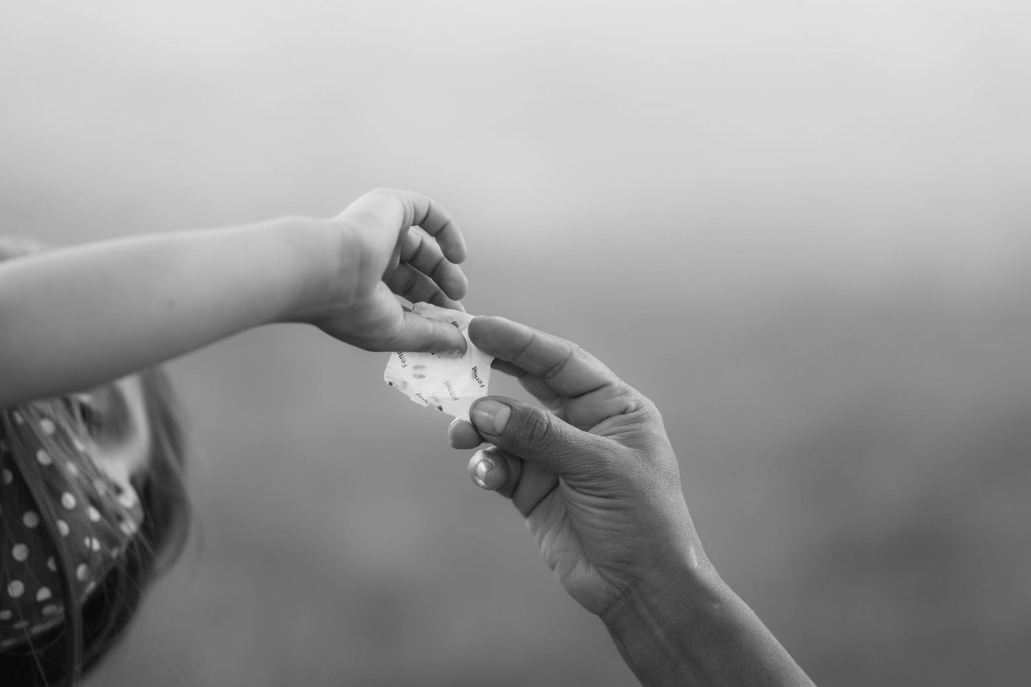 Black and white photo of a child and adult hands exchanging a small white flower outdoors.
