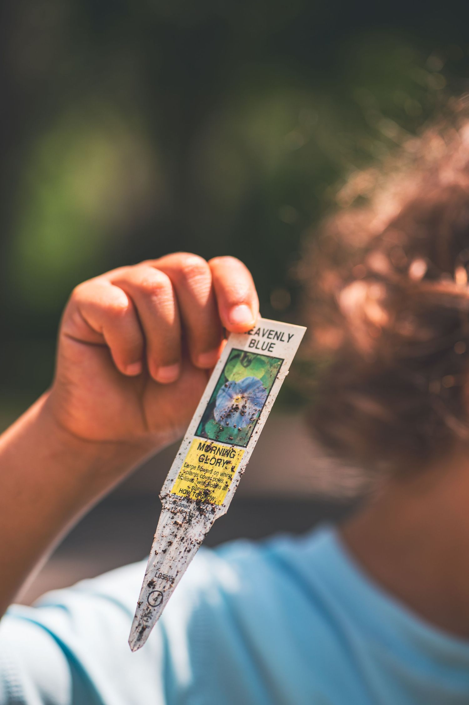 Child holding a Heavenly Blue Morning Glory seed packet in sunlight with a blurred green background.