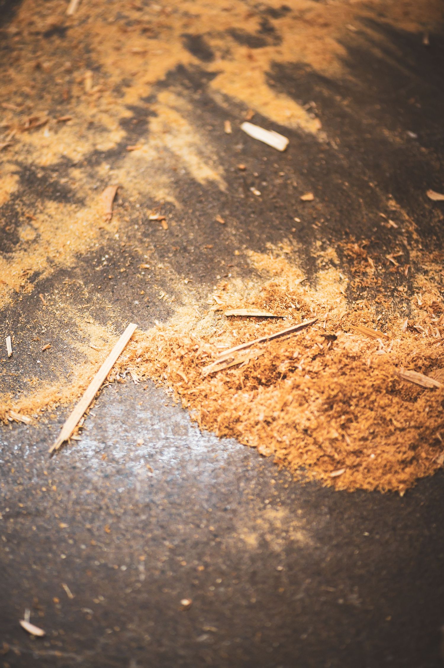 Close-up of sawdust and wood shavings scattered on a dark surface, creating a rustic woodworking background.