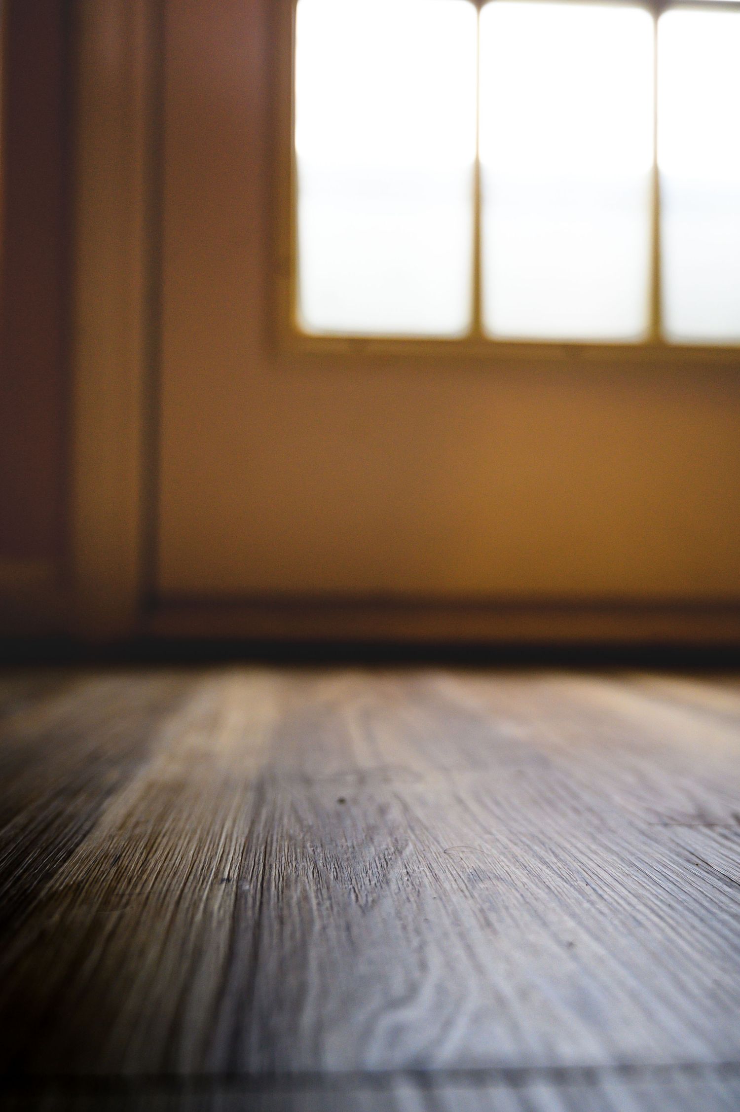Close-up of wooden flooring with window light in background creating atmospheric mood.