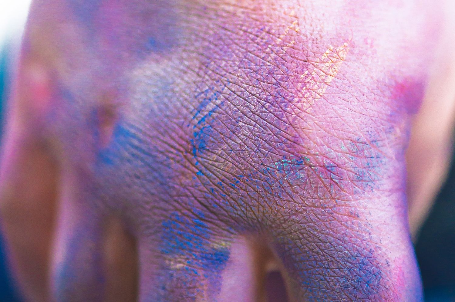 Close-up of a human hand covered in colorful blue, pink, and purple powder pigment on skin.